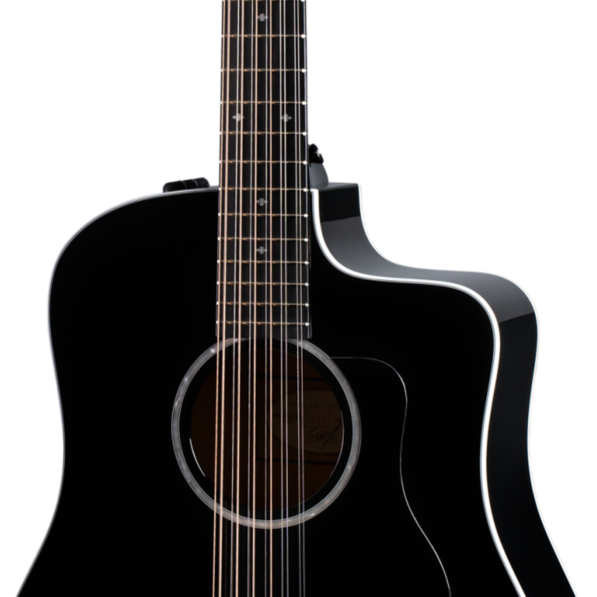 Taylor 250ce Deluxe 12-string Acoustic-electric Guitar - Black
