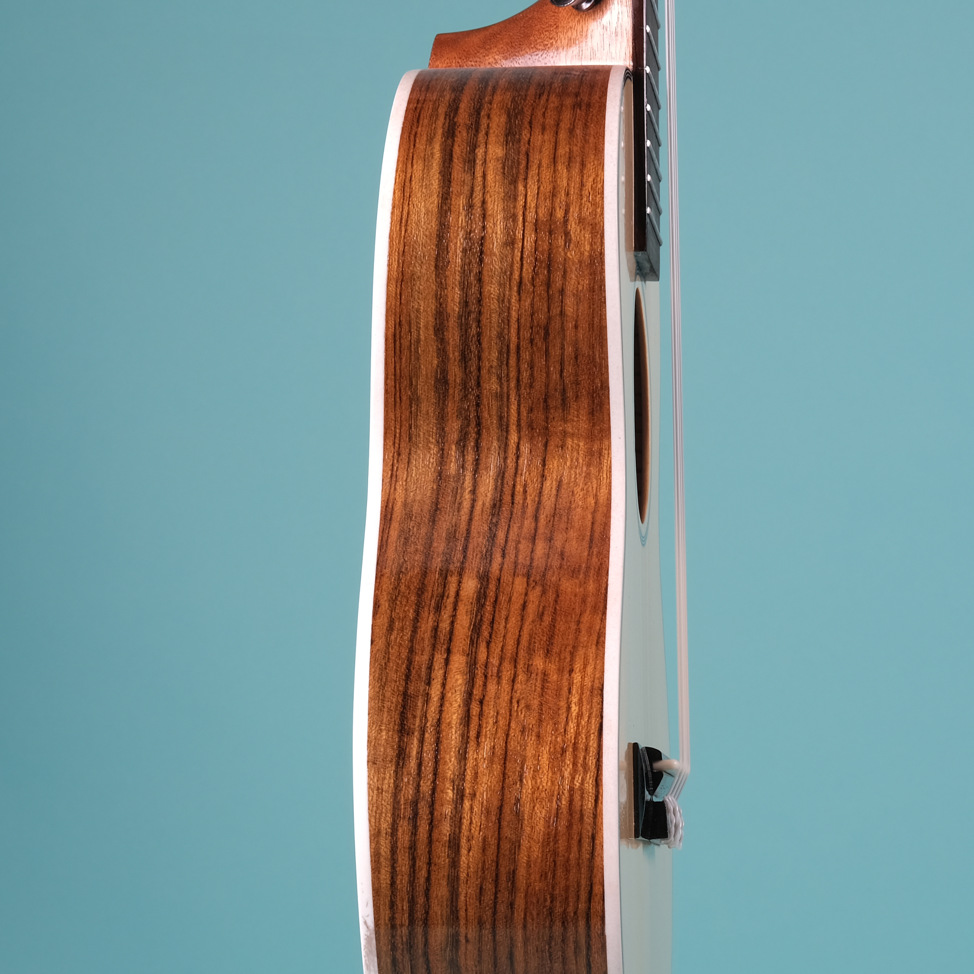 Richtone RT26 RS - Rosewood Tenor