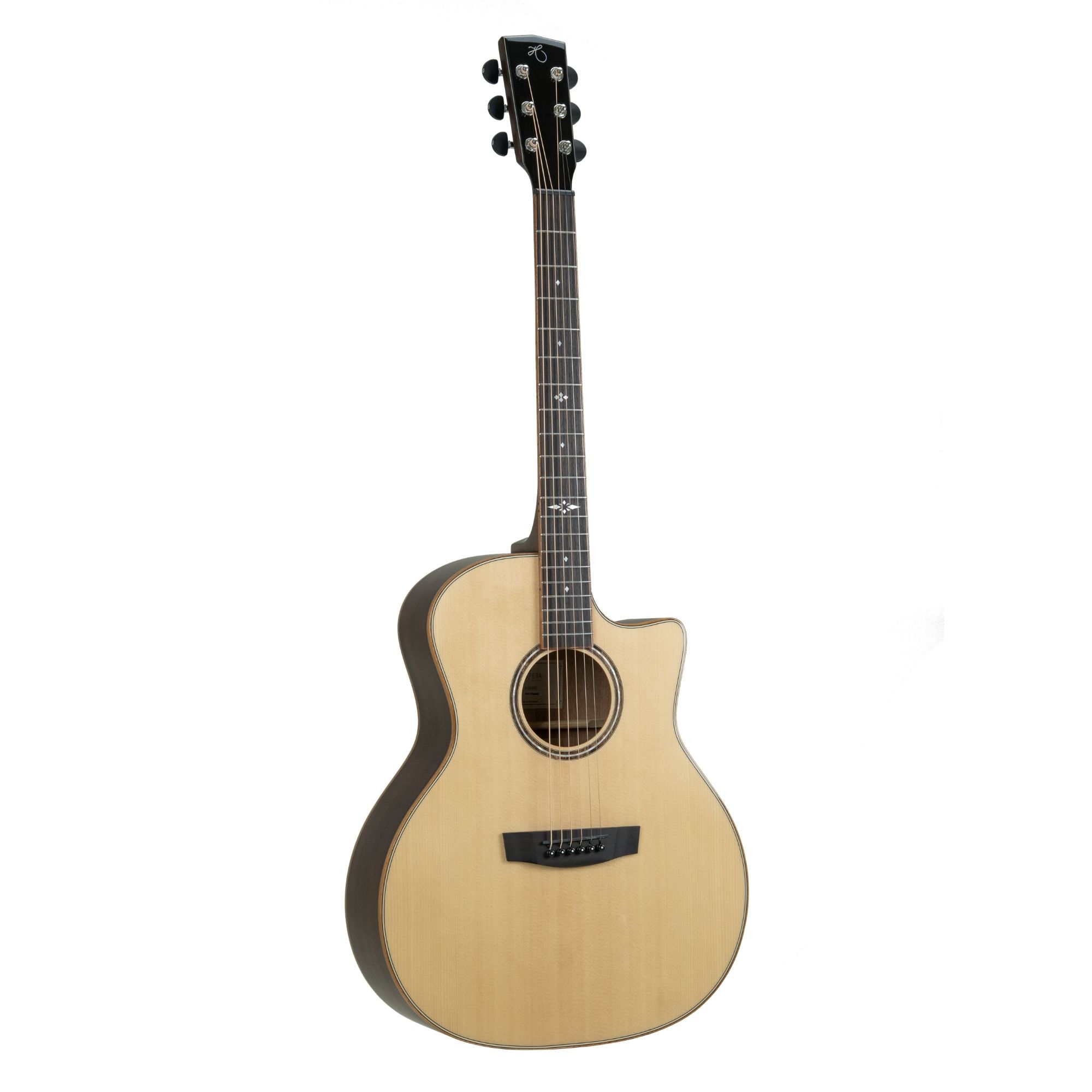 Hex Guitars VG500E