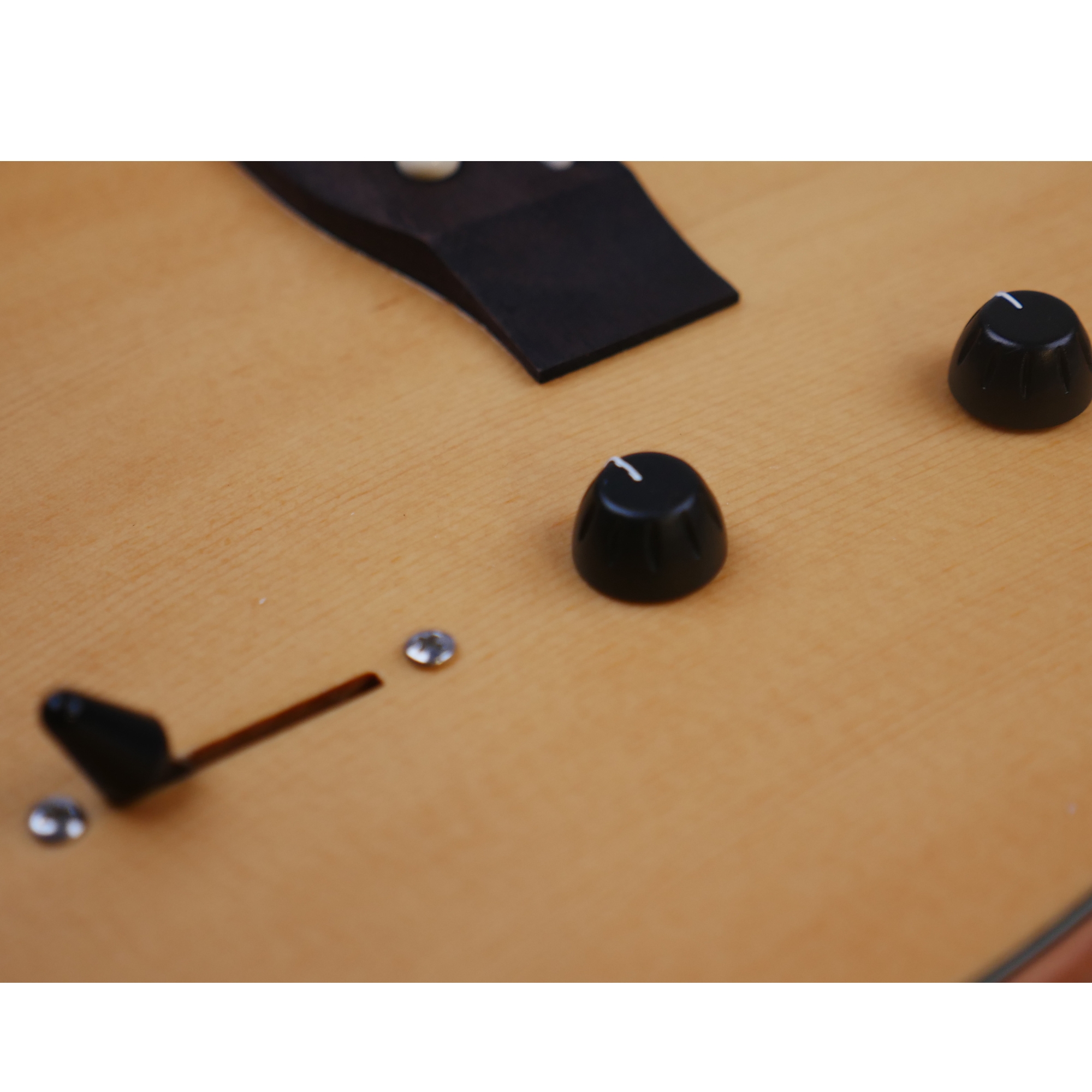 SQOE SEAE910 WINTER SPRUCE ACOUSTASONIC SERIES