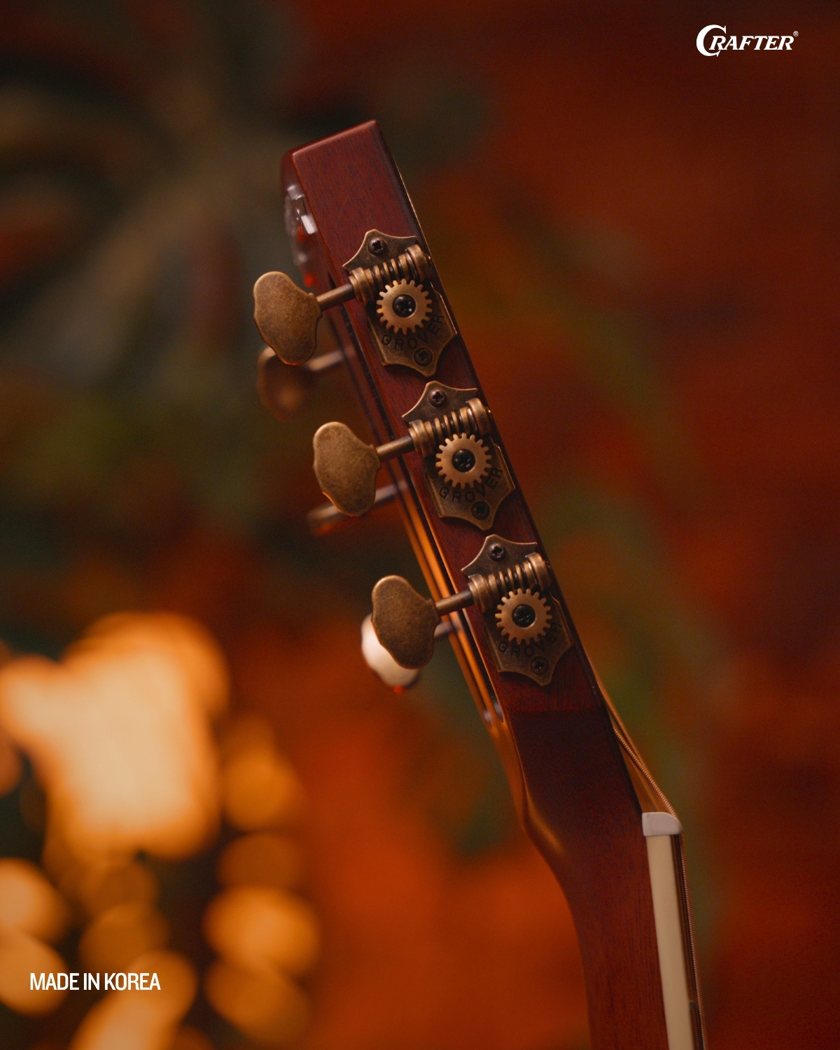 Crafter MIND W Prestige ROSE GCE VVS Acoustic Electric Guitar Vintage Rosewood Tone