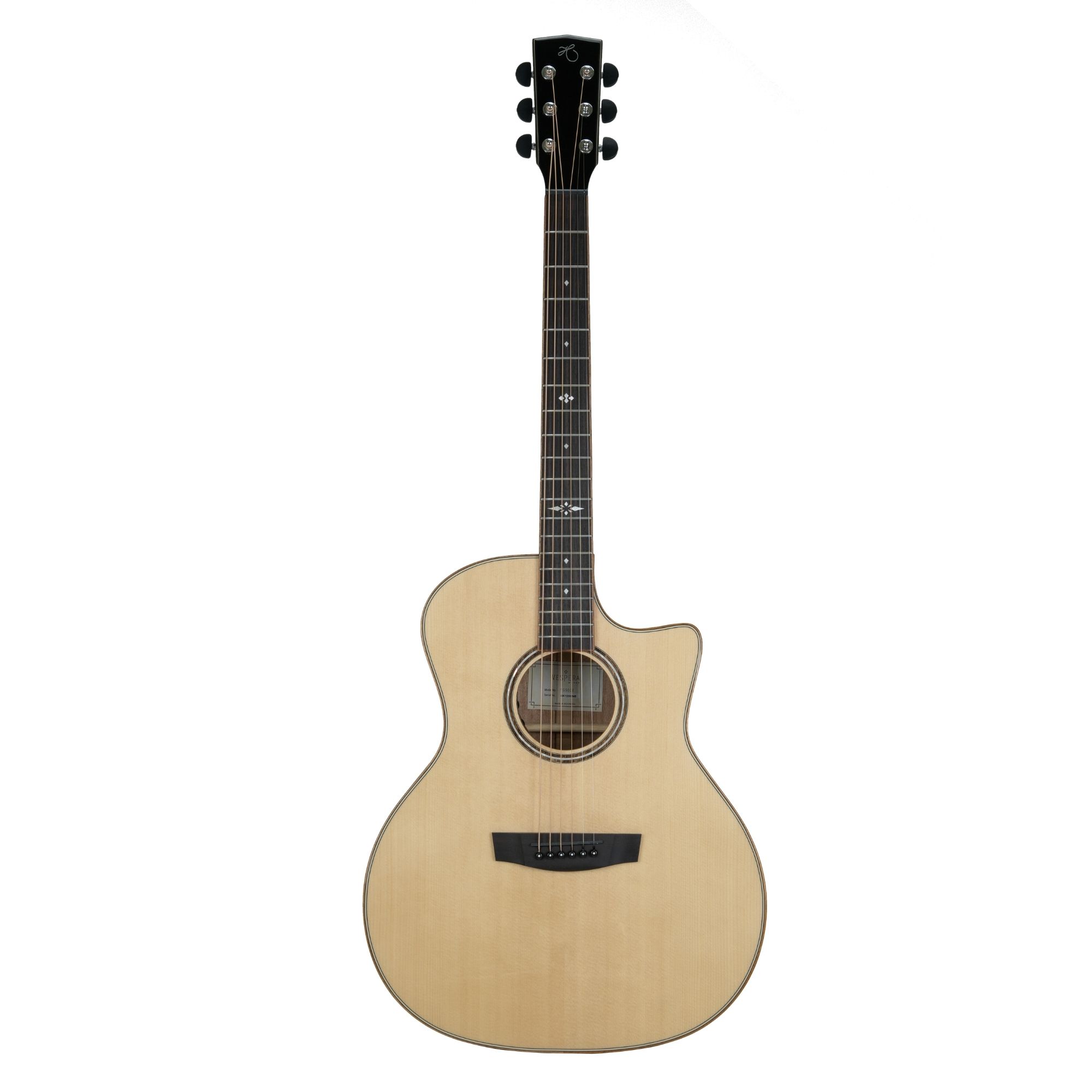 Hex Guitars VG500E