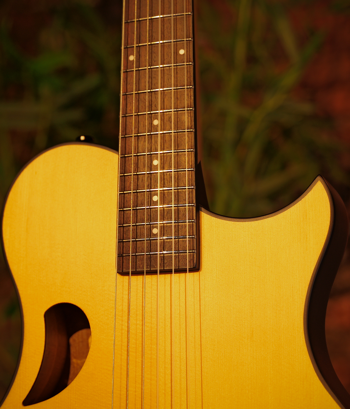 Hex Y500N CLASSICAL GUITAR WITH LR BAGGS ELEMENT BRONZE EQ