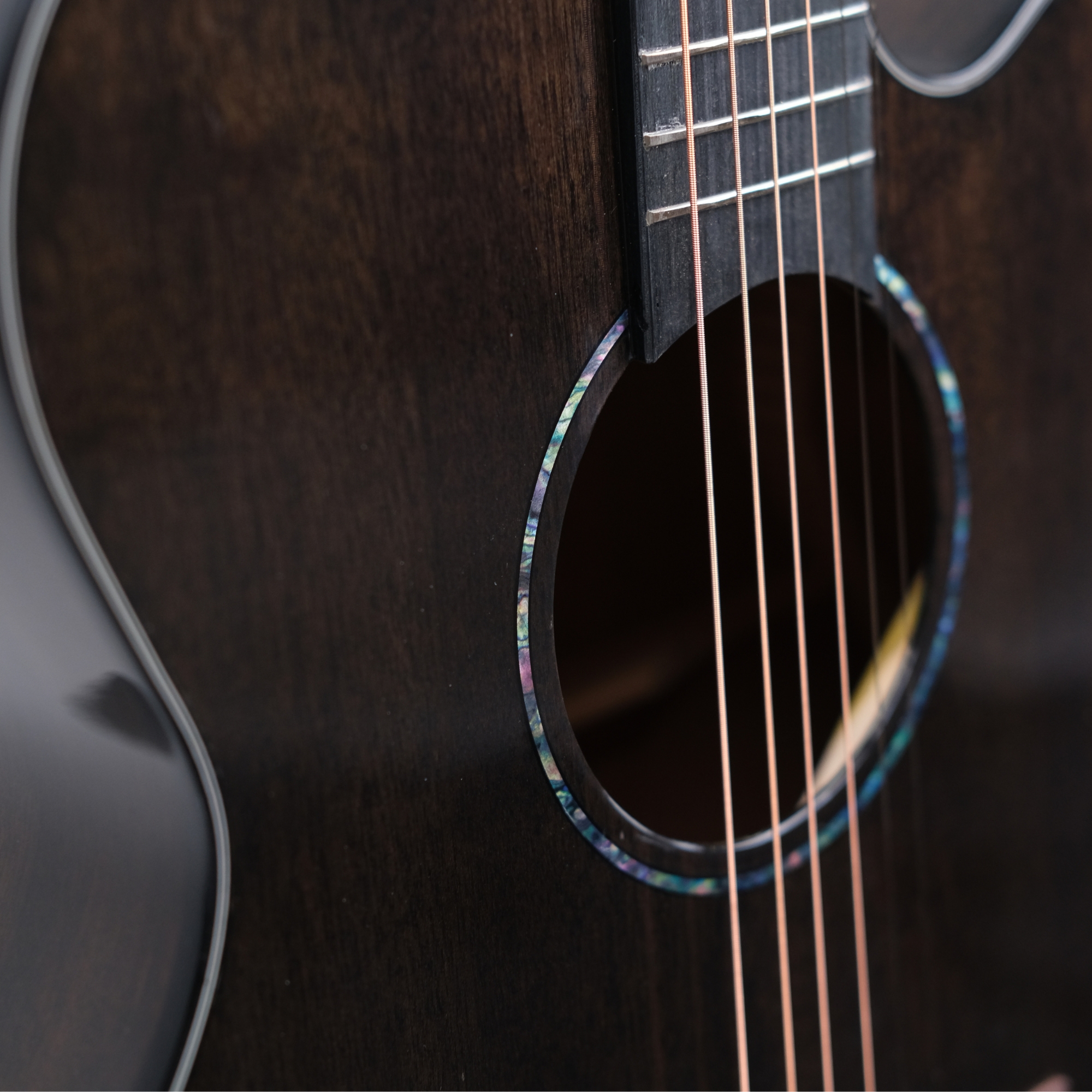 Richtone RT39C MG all Mahogany cutaway guitar black gloss