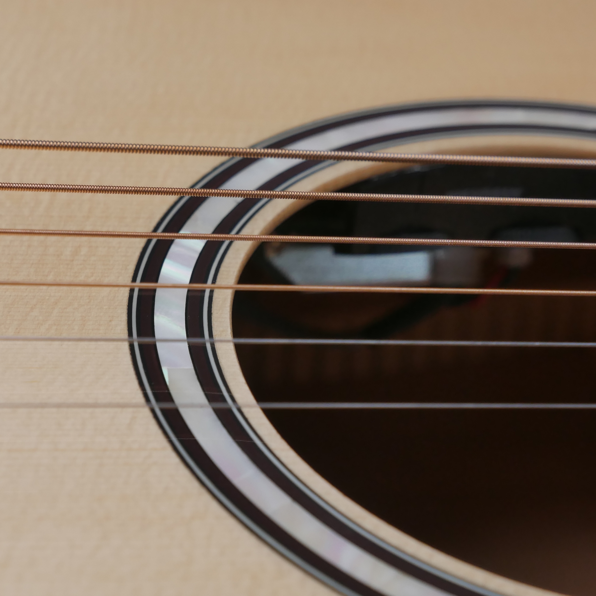 Hex D500CEG -QUEEN SERIES WITH FISHMAN EQ - ALL SOLID