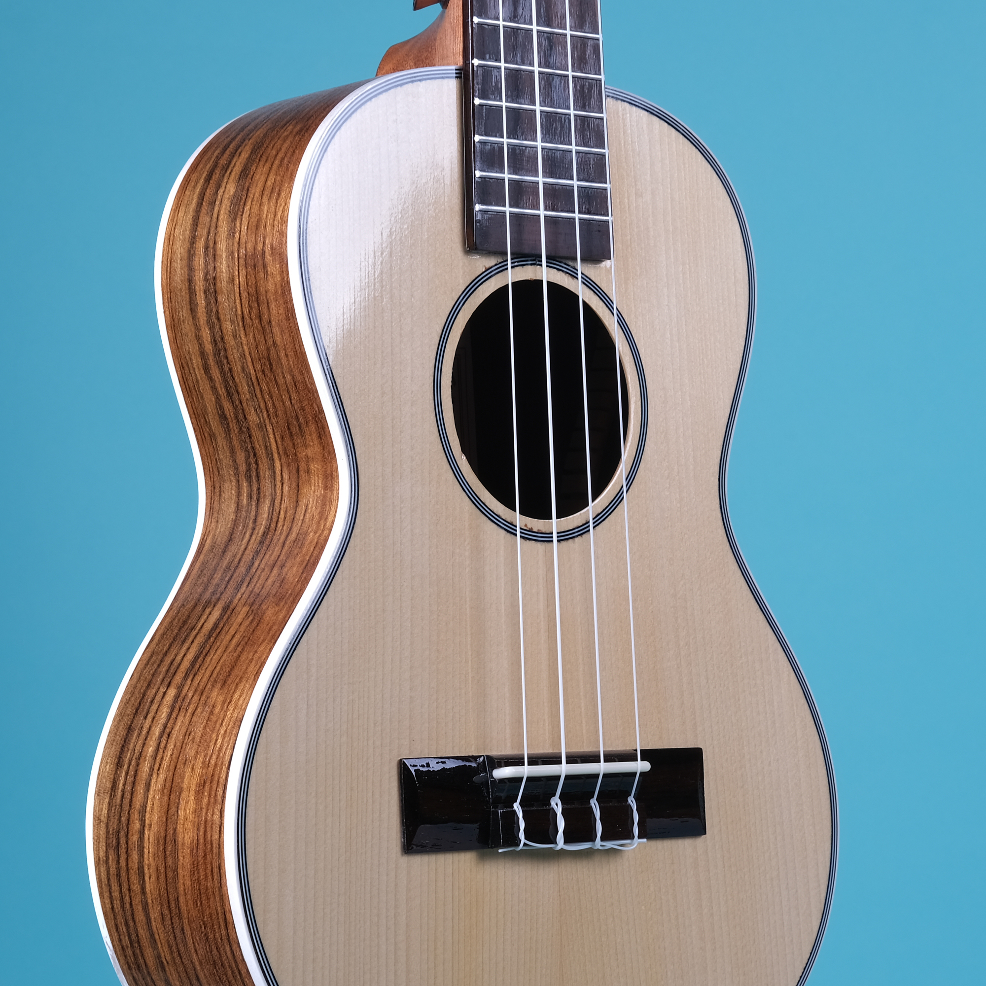 Richtone RT26 RS - Rosewood Tenor