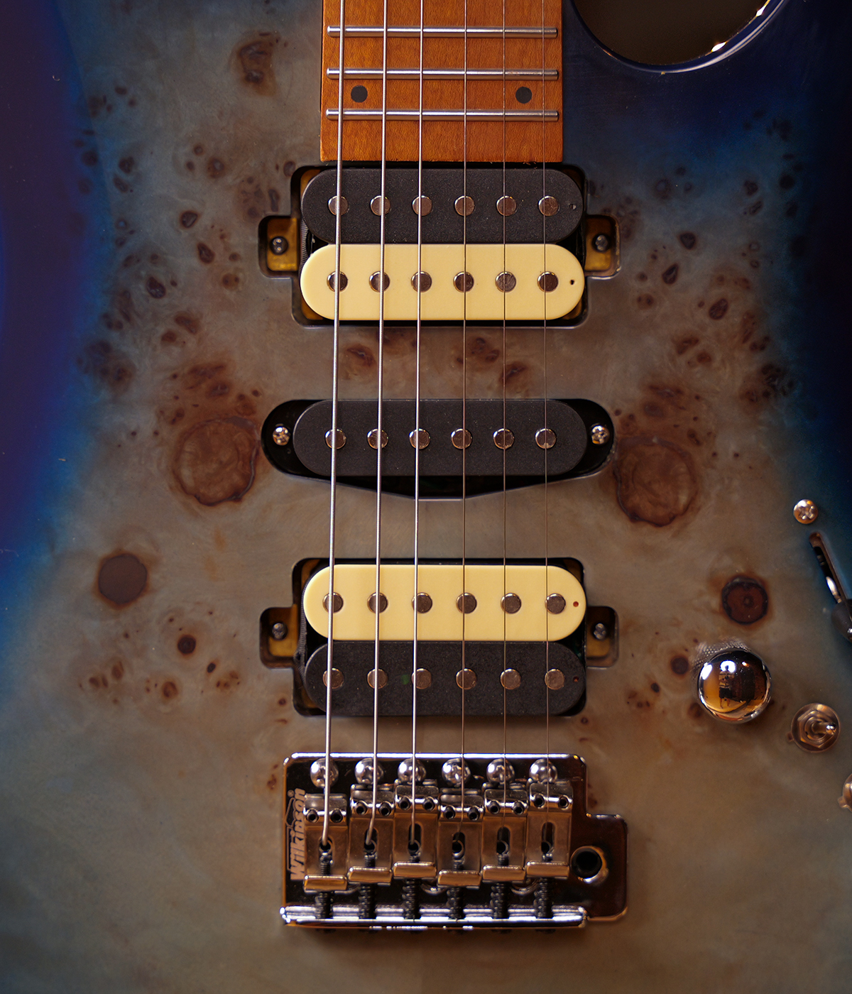 SQOE SEIB550 Ocean Burl HSH Alnico 5 Roasted Maple