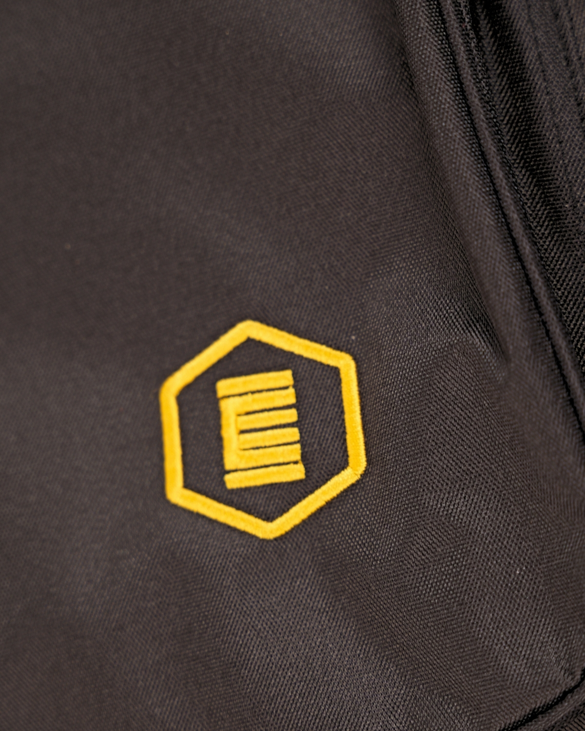 Hex D350CEG WITH FISHMAN SONITONE