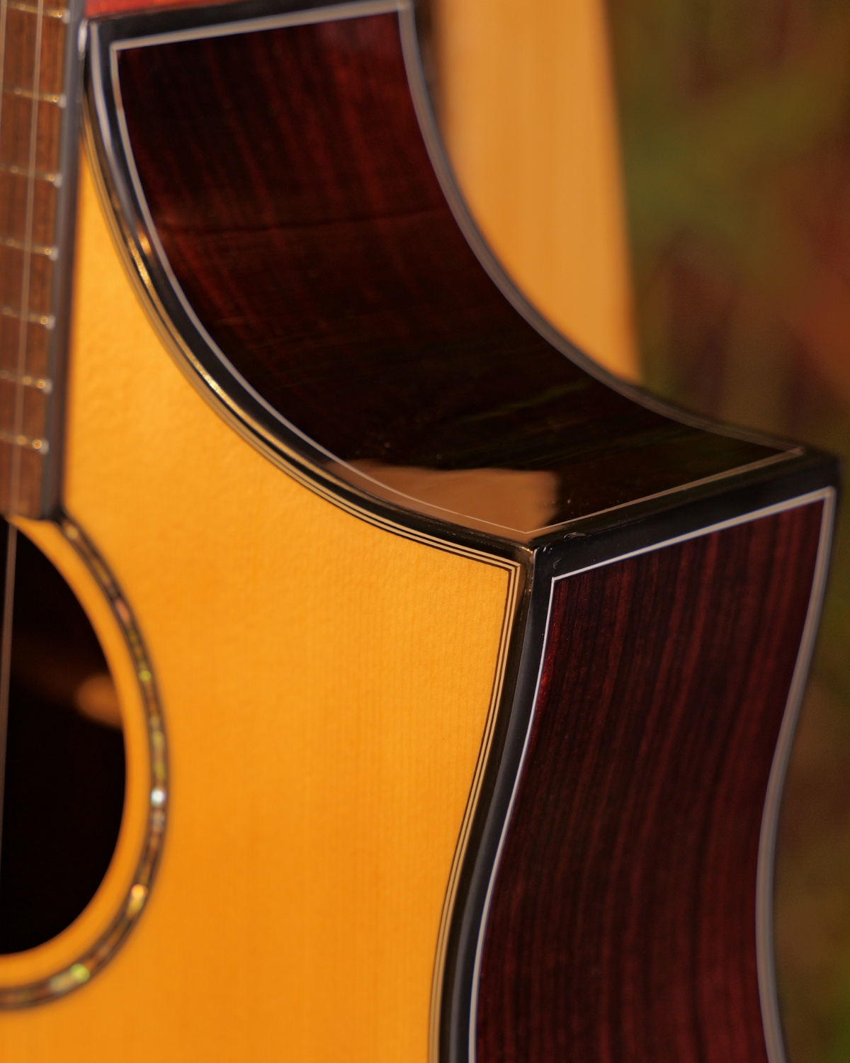 Hex D350CEG WITH FISHMAN SONITONE