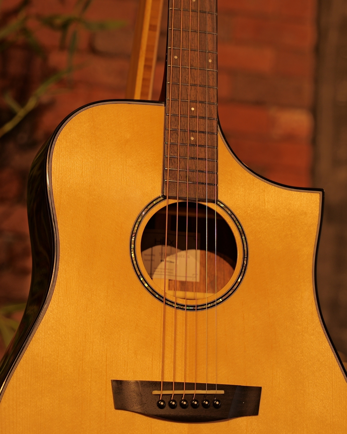 Hex D350CEG WITH FISHMAN SONITONE