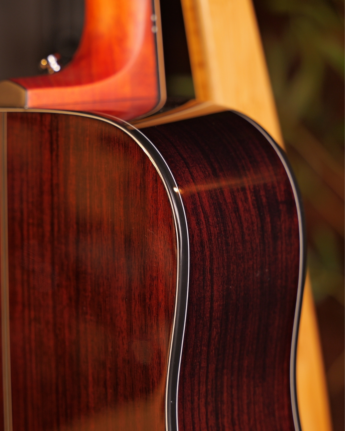 Hex D350CEG WITH FISHMAN SONITONE