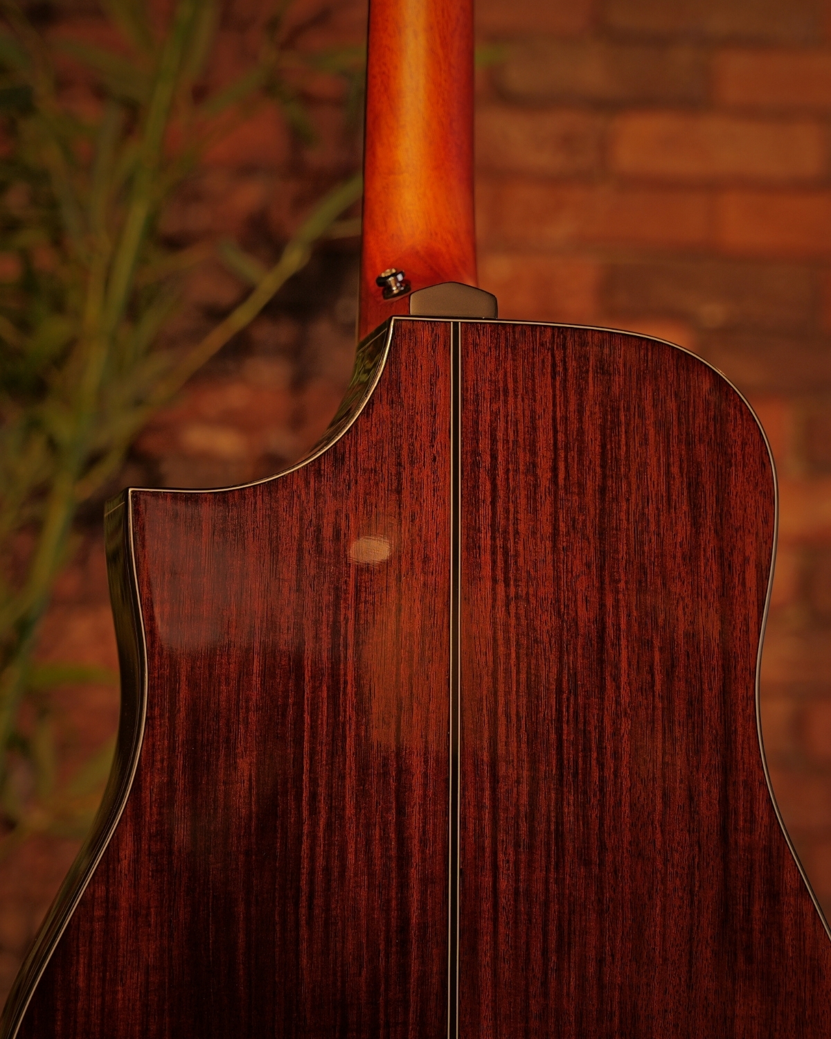 Hex D350CEG WITH FISHMAN SONITONE