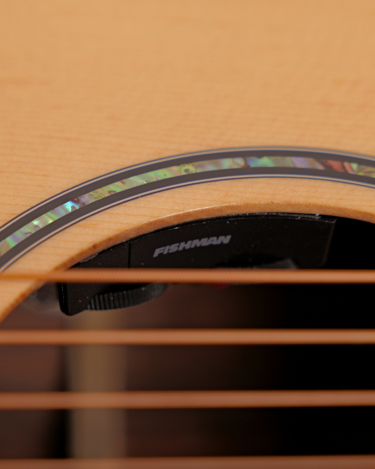 Hex D350CEG WITH FISHMAN SONITONE