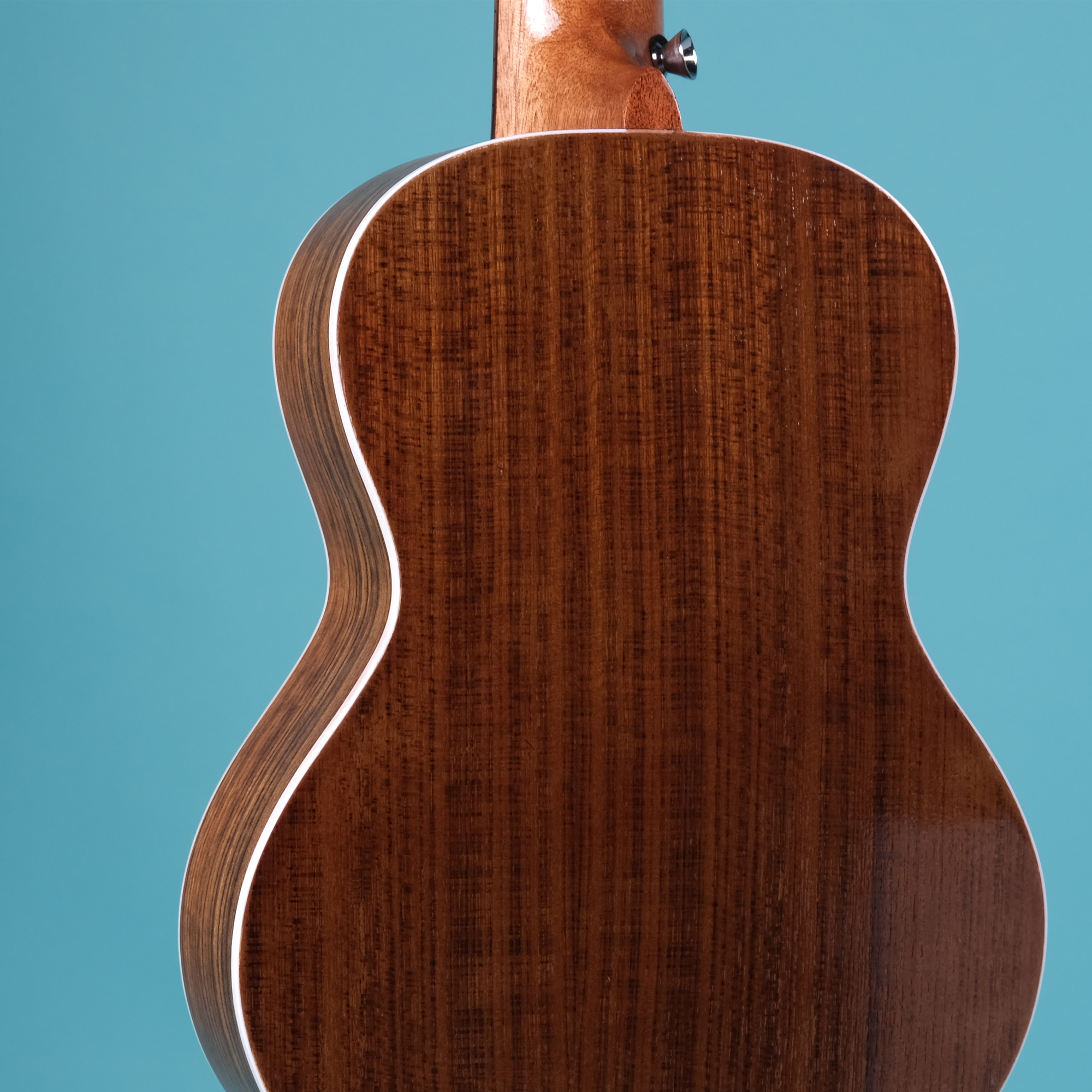 Richtone RT26 RS - Rosewood Tenor