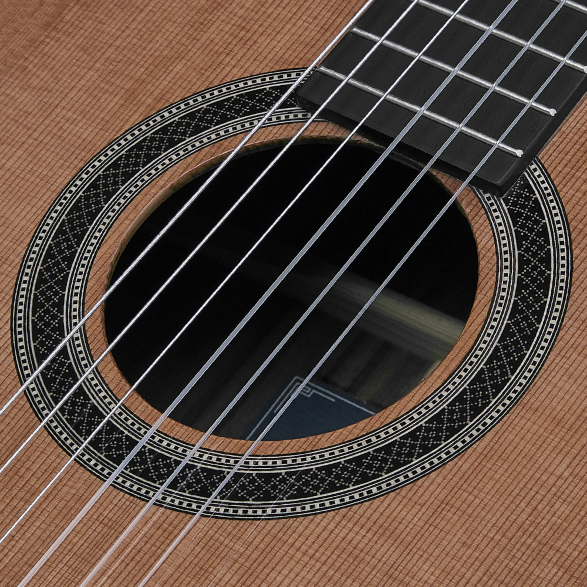 HEX C350G ROASTED SOLID SPRUCE TOP 39 CLASSICAL POLLEN SERIES