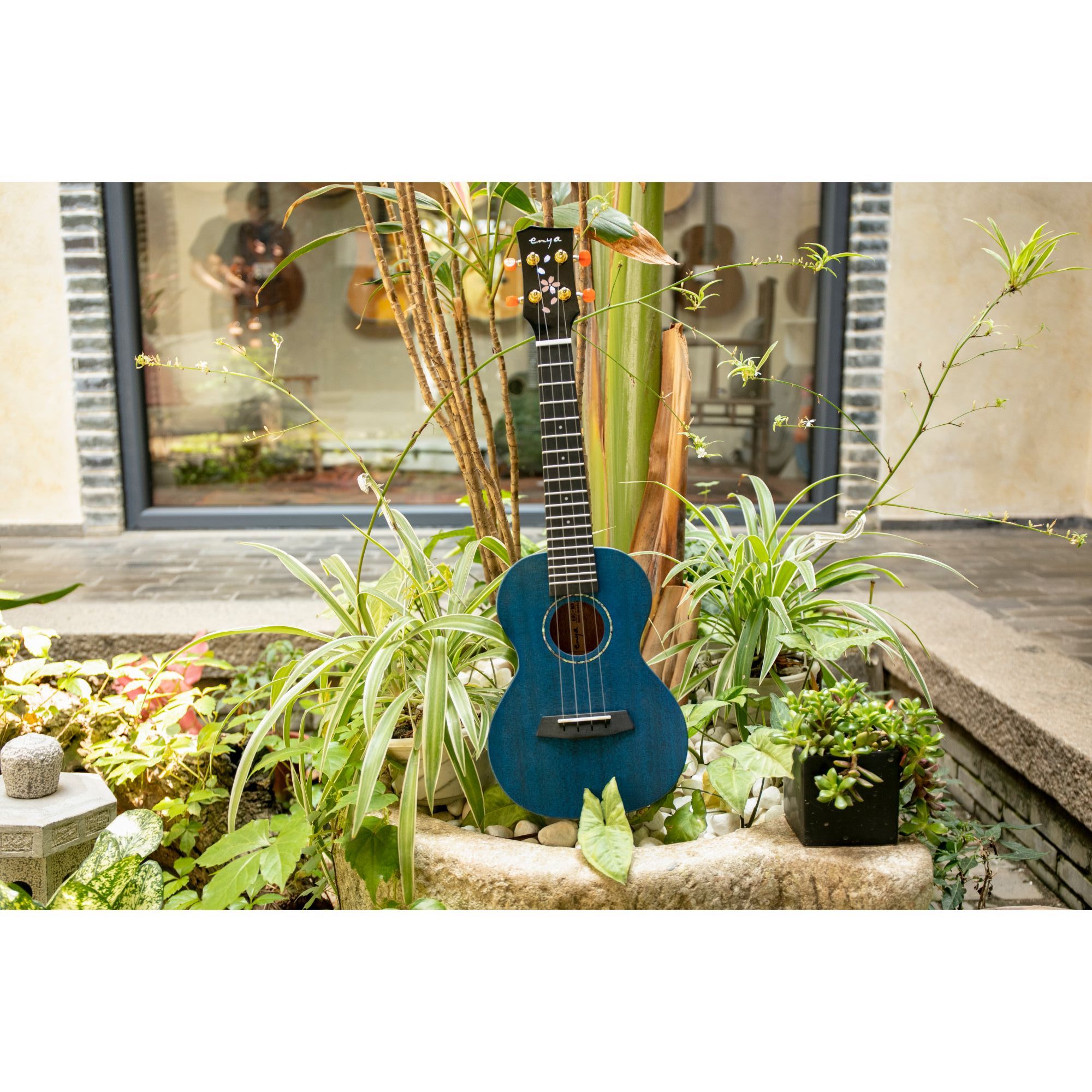 Enya EUC MS Blue All Solid Mahogany