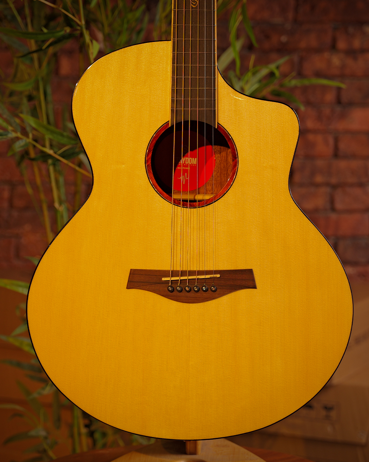 Strydom F240C auditorium acoustic guitar Natural gloss