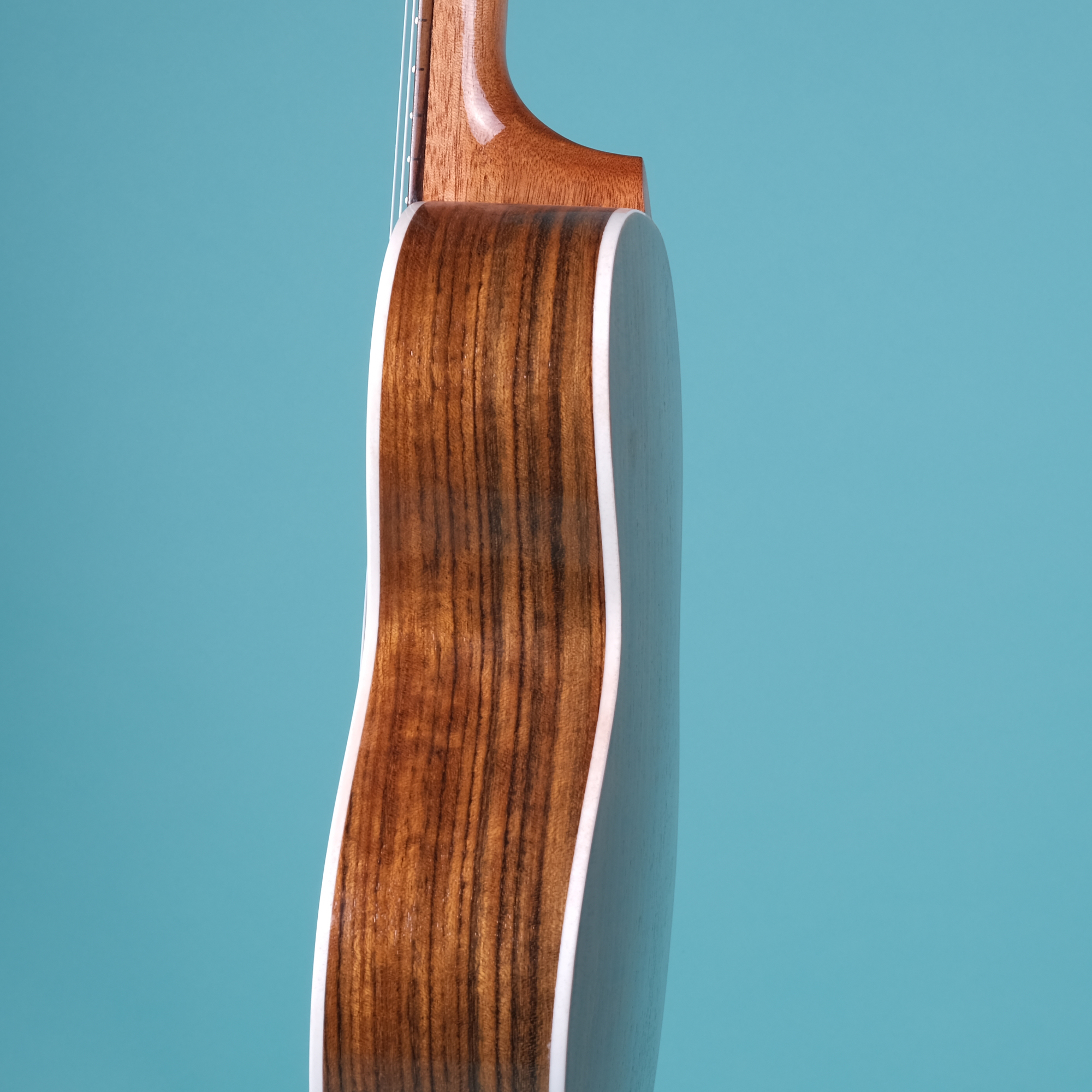 Richtone RT26 RS - Rosewood Tenor