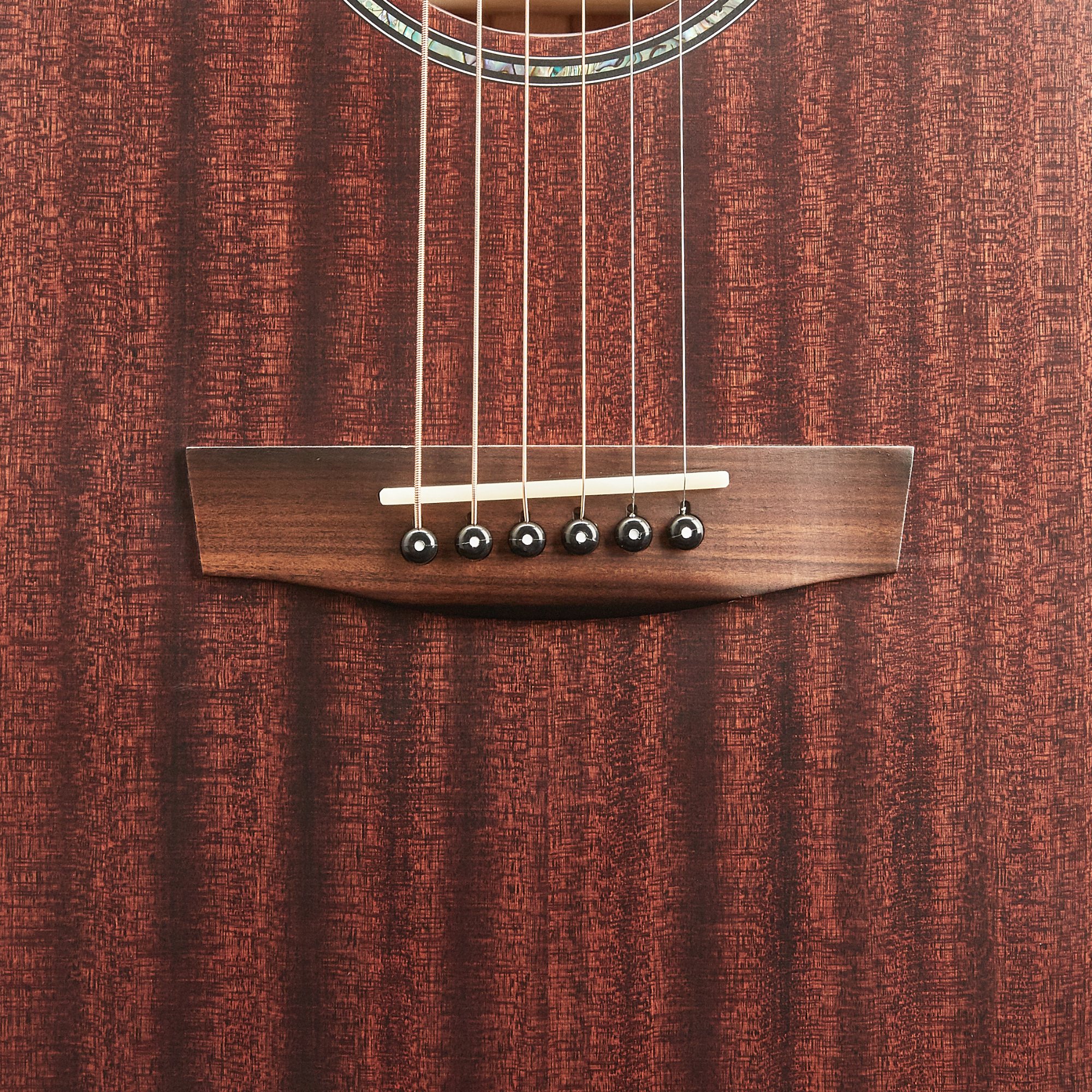 F120CM OM-HIVE series