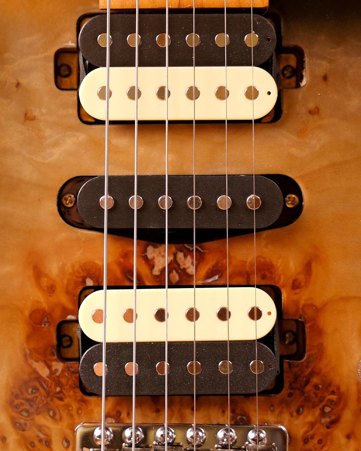 SQOE SEIB550 Shadow Burl HSH Alnico 5 Roasted Maple