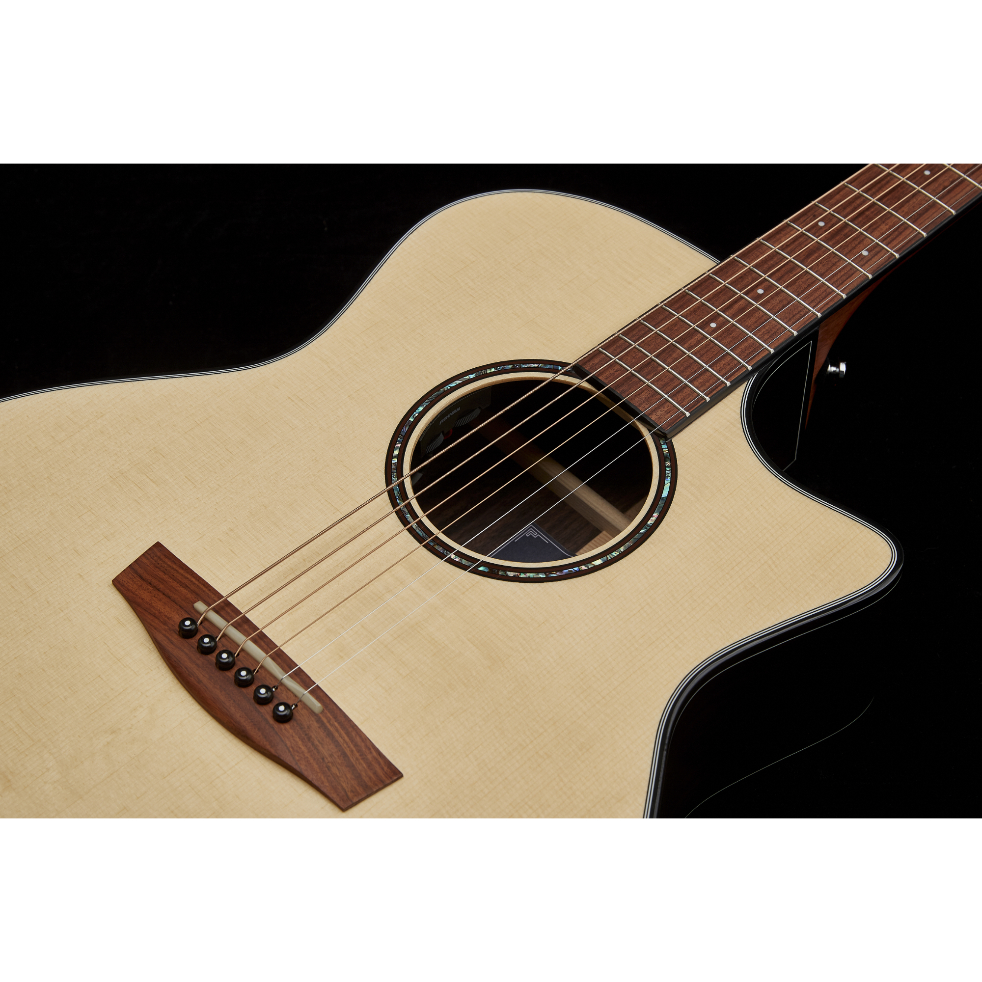 GA400CEG -HORNET SERIES WITH FISHMAN SONITONE