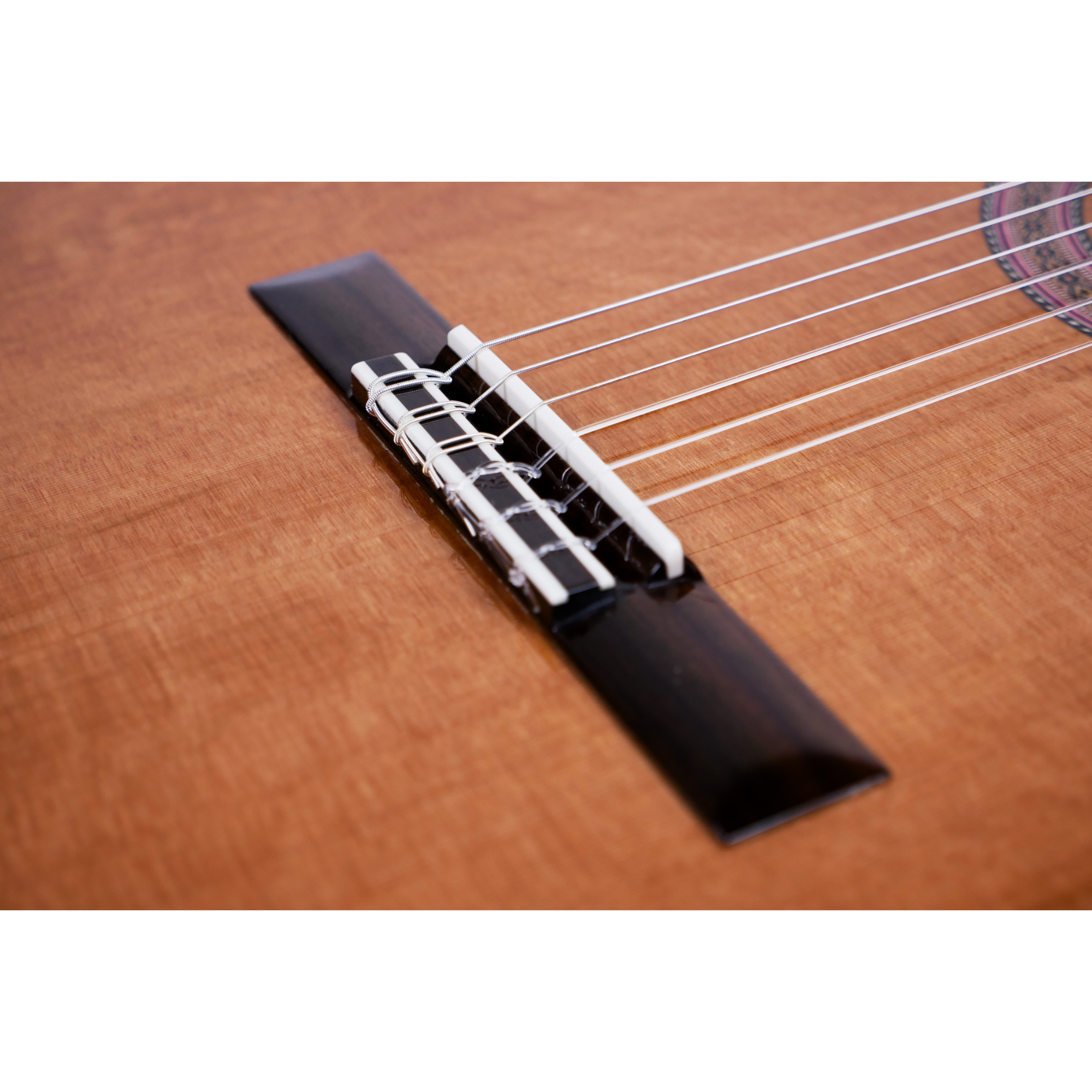 MARTINEZ MC-58C SOLID CEDAR TOPINDIAN ROSEWOOD CLASSICAL GUITAR NATURAL