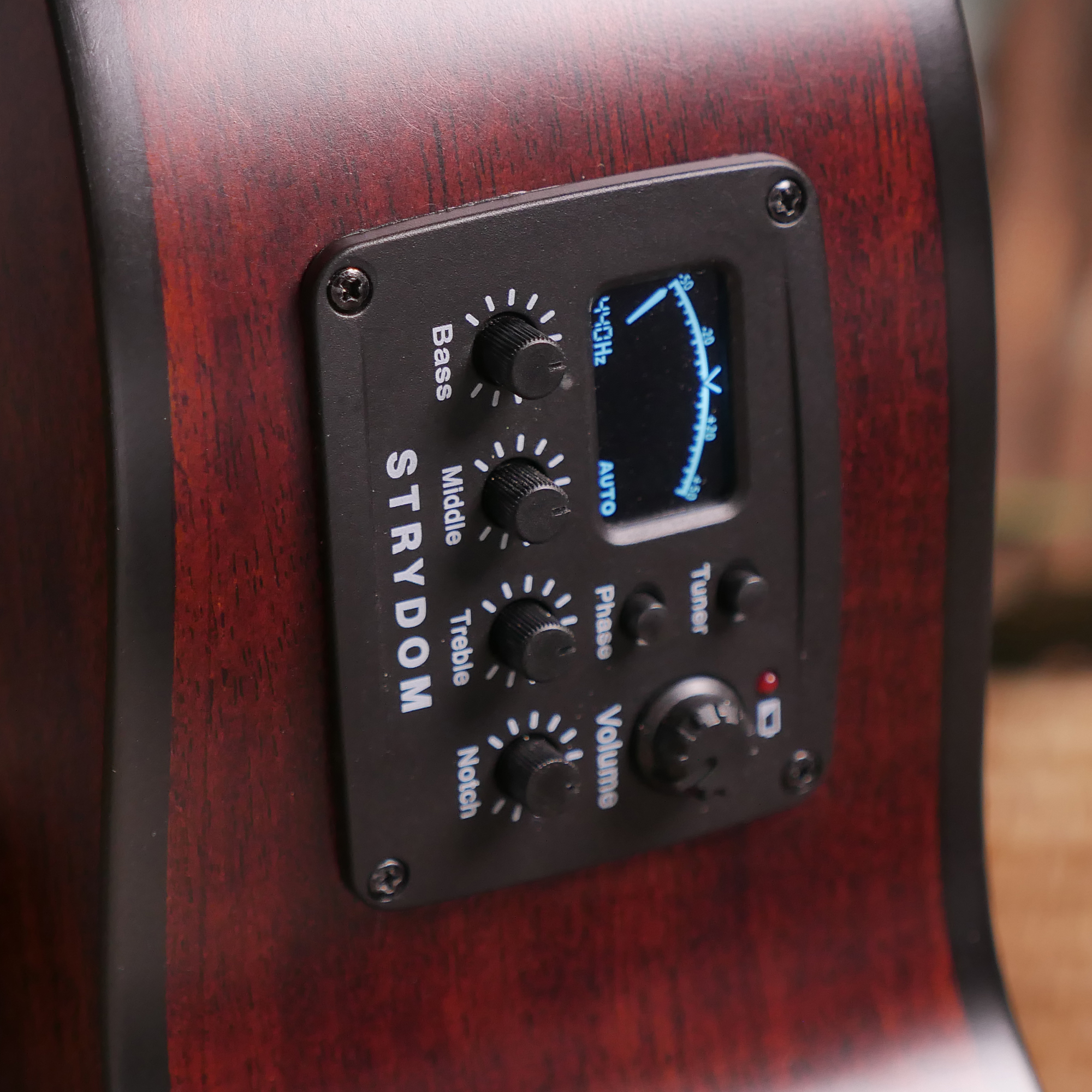 Strydom GS136E Semi-acoustic guitar Wild Honey all Mahogany