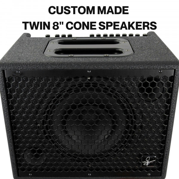 CUSTOM MADE TWIN 8INCH SPEAKERS
