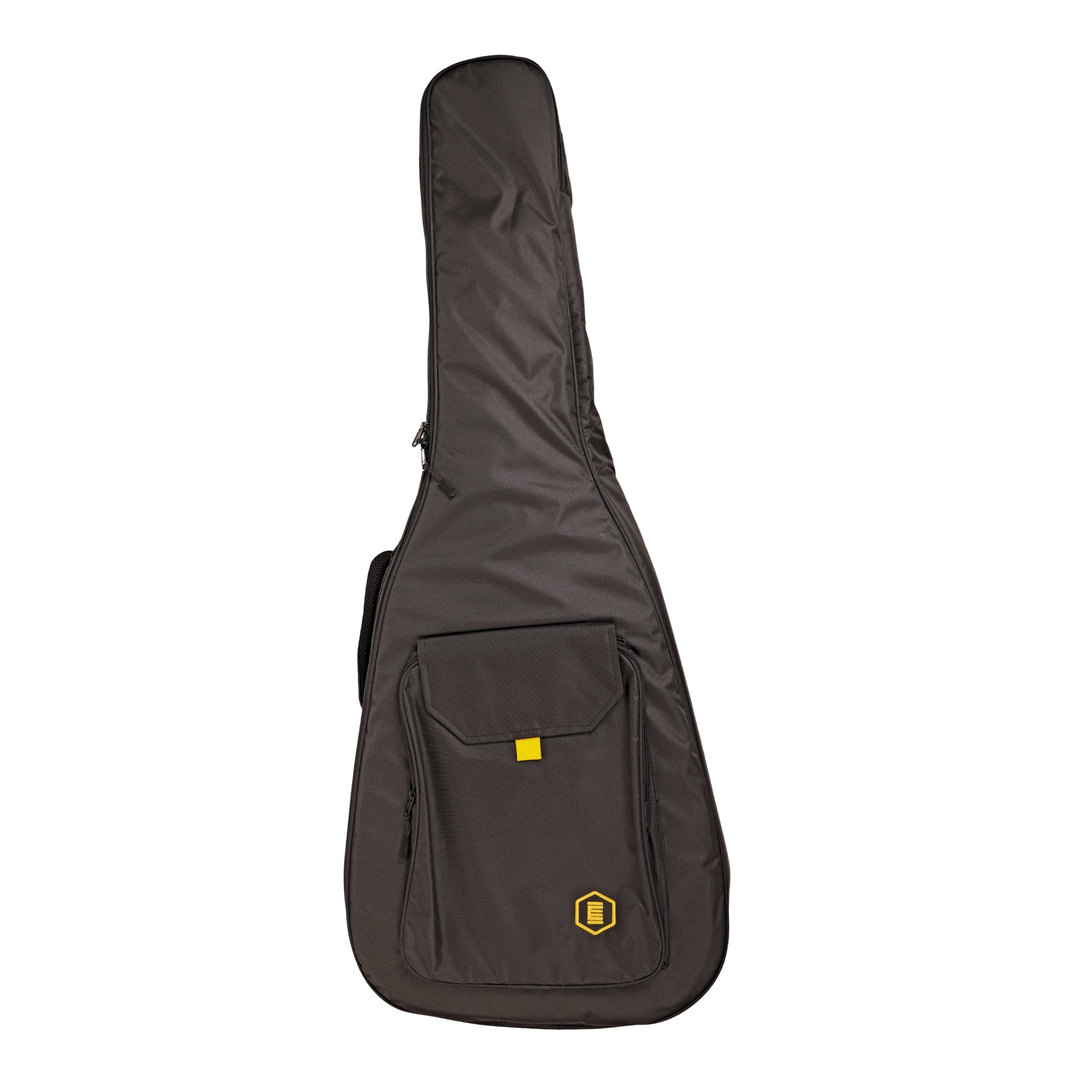 Hex D350CEG WITH FISHMAN SONITONE