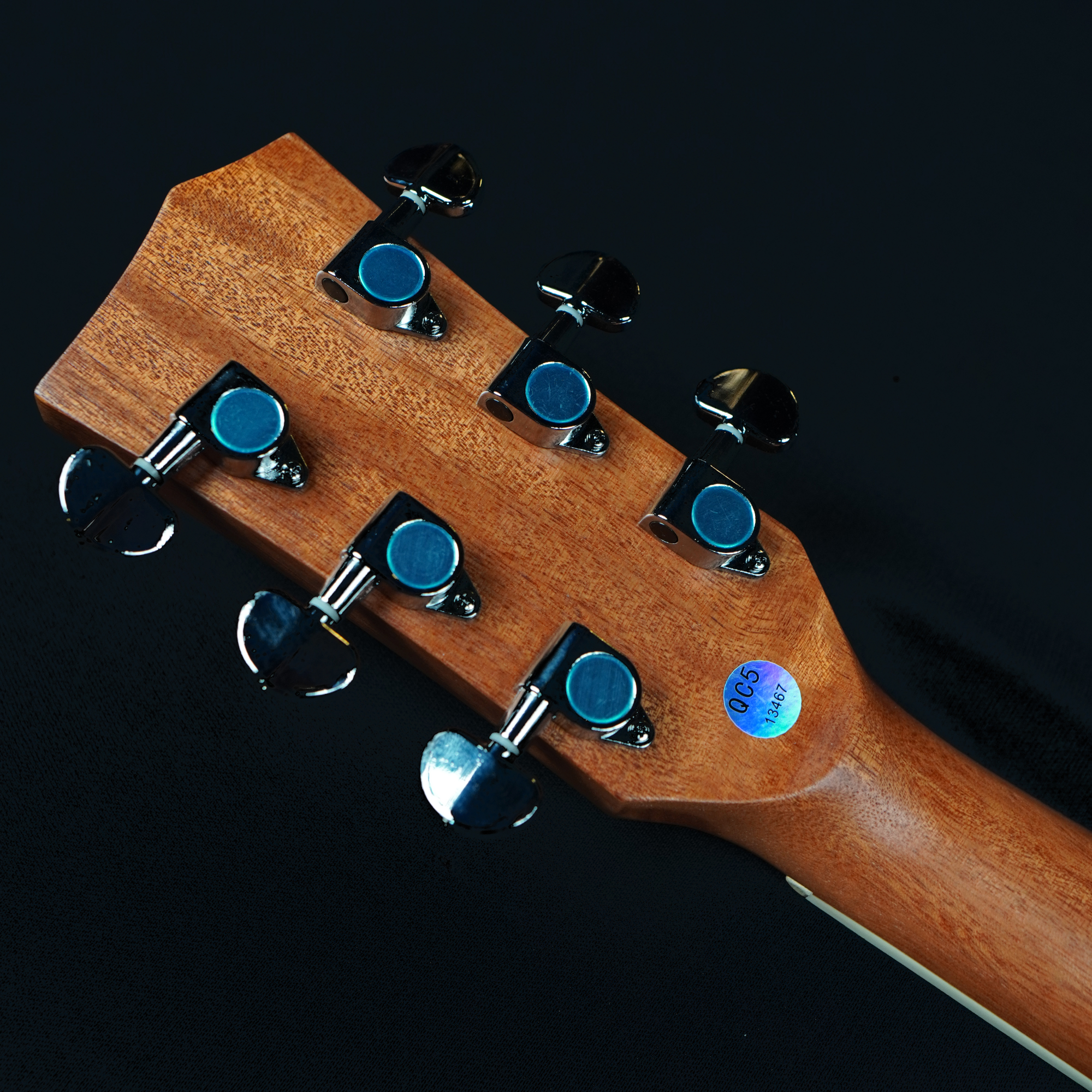 Richtone RT339C All Sapele Acoustic guitar - Natural