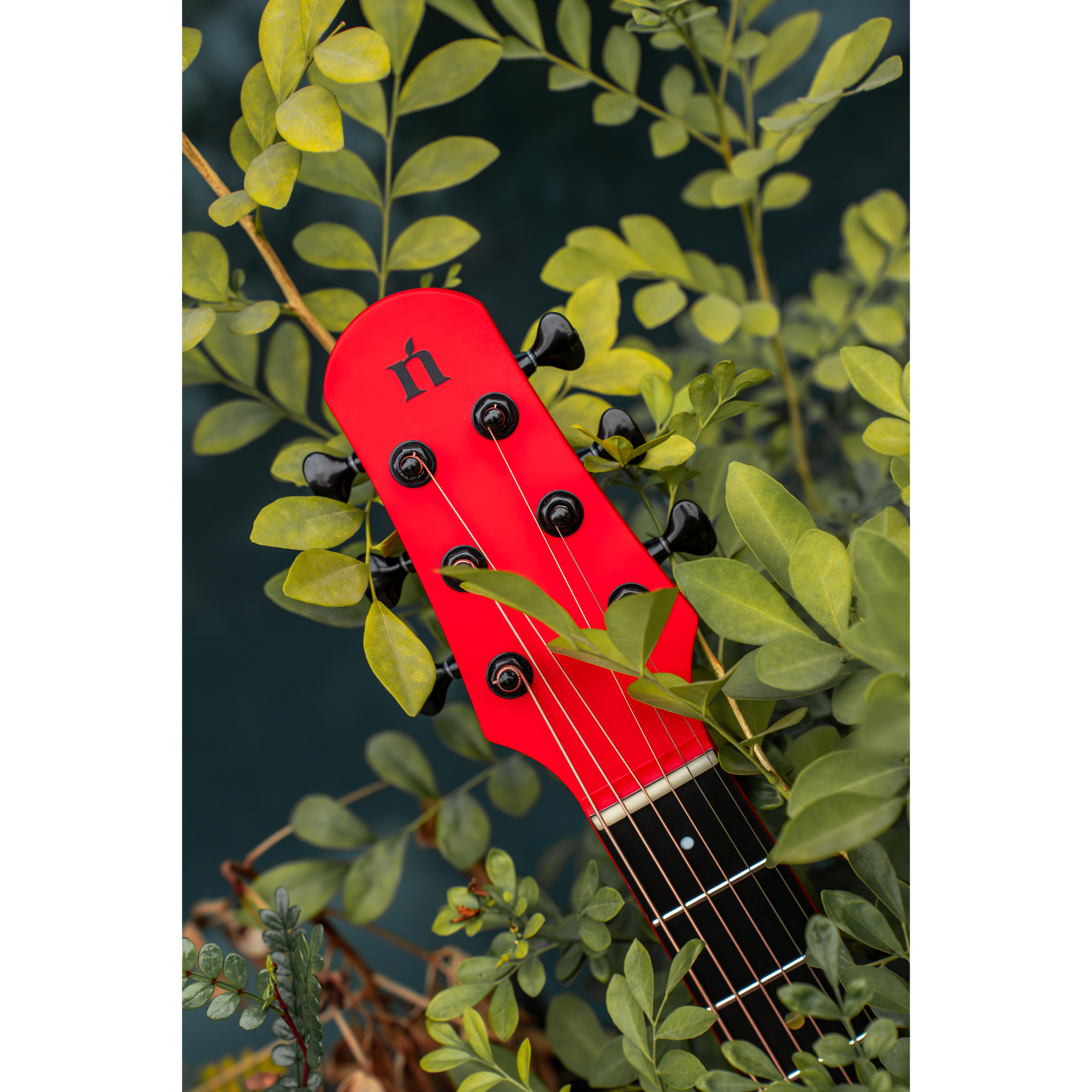 Natasha Asteroid Carbon Fibre 38 Acoustic Guitar with Bag - Imperial Red