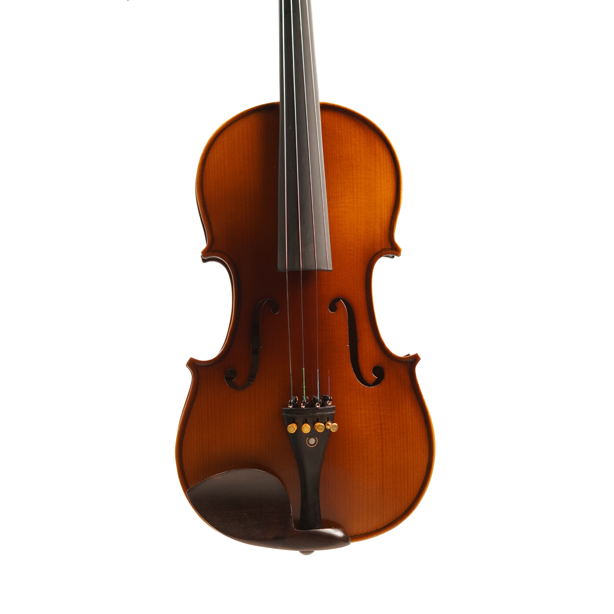 Procraft Acoustic violin PR VS008E