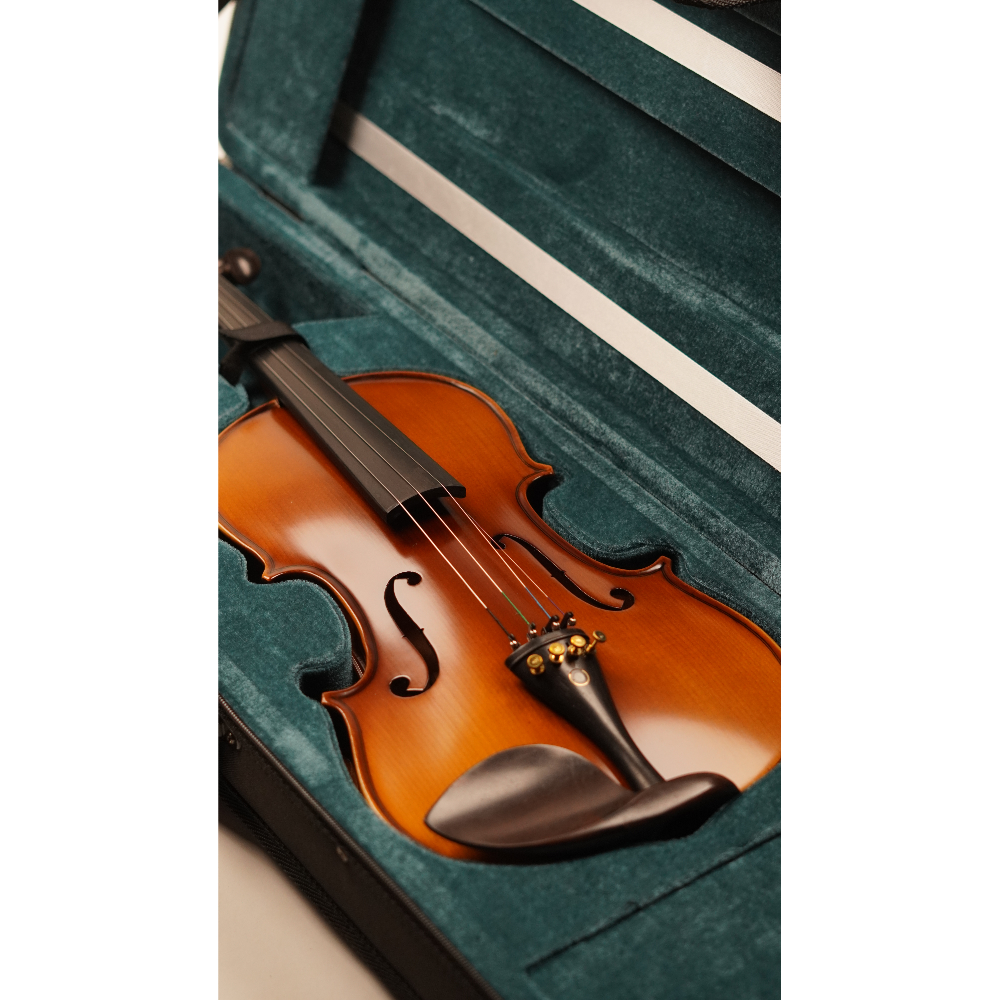 Procraft Acoustic violin PR VS008E