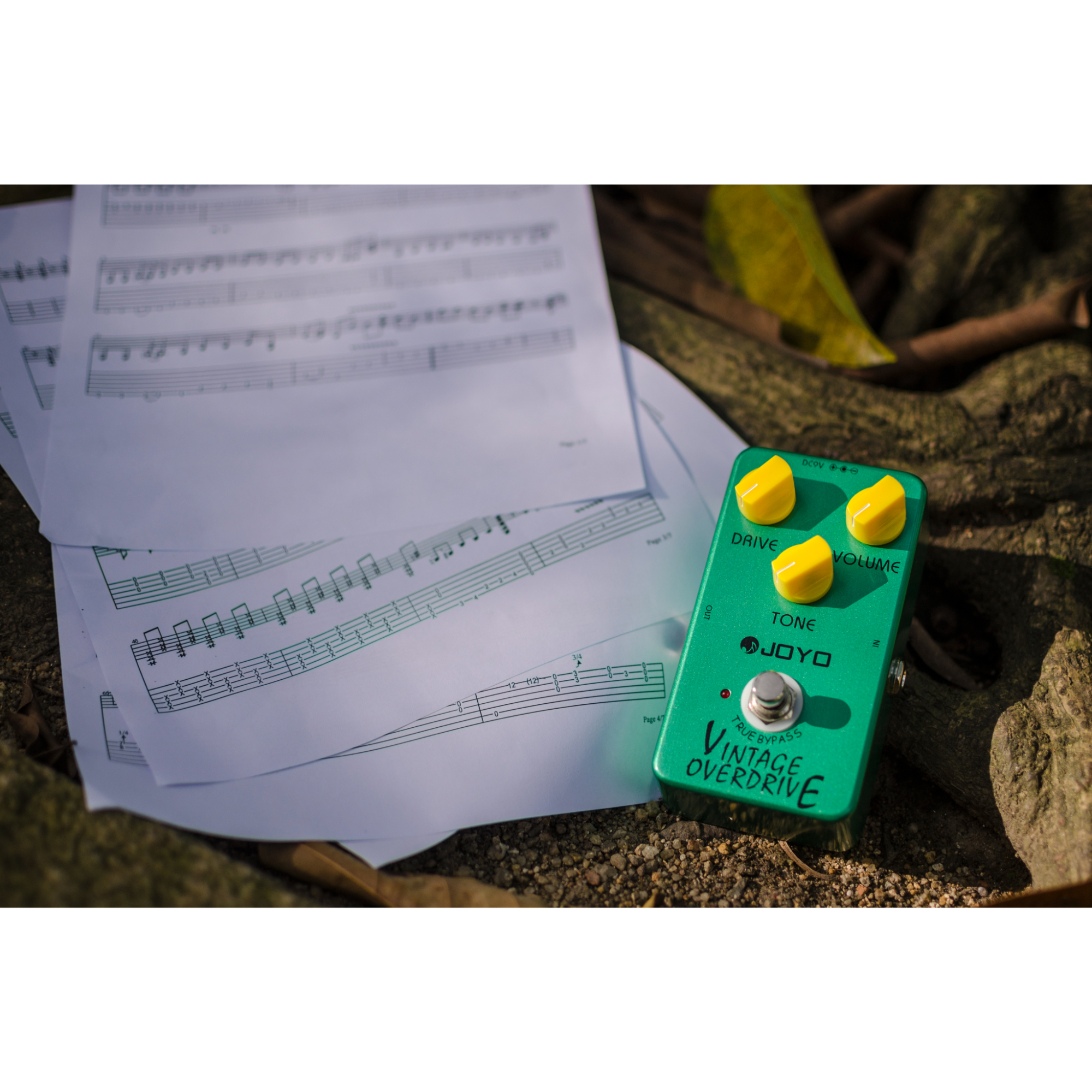 JOYO JF-01 Vintage Overdrive Guitar Effect Pedal - True Bypass DC 9V and Battery Supported