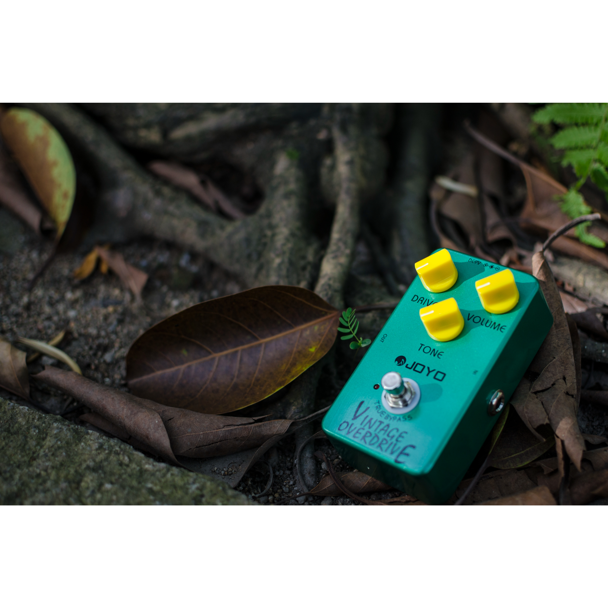 JOYO JF-01 Vintage Overdrive Guitar Effect Pedal - True Bypass DC 9V and Battery Supported