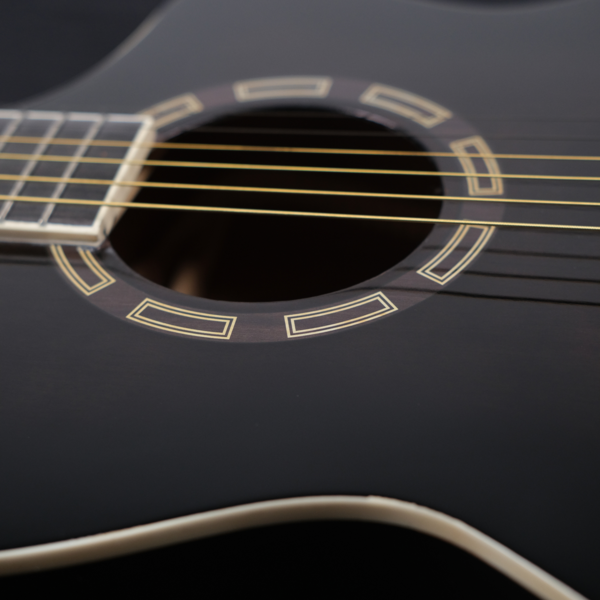 Richtone B139C CHARCOAL glossy JF style cutaway Acoustic guitar
