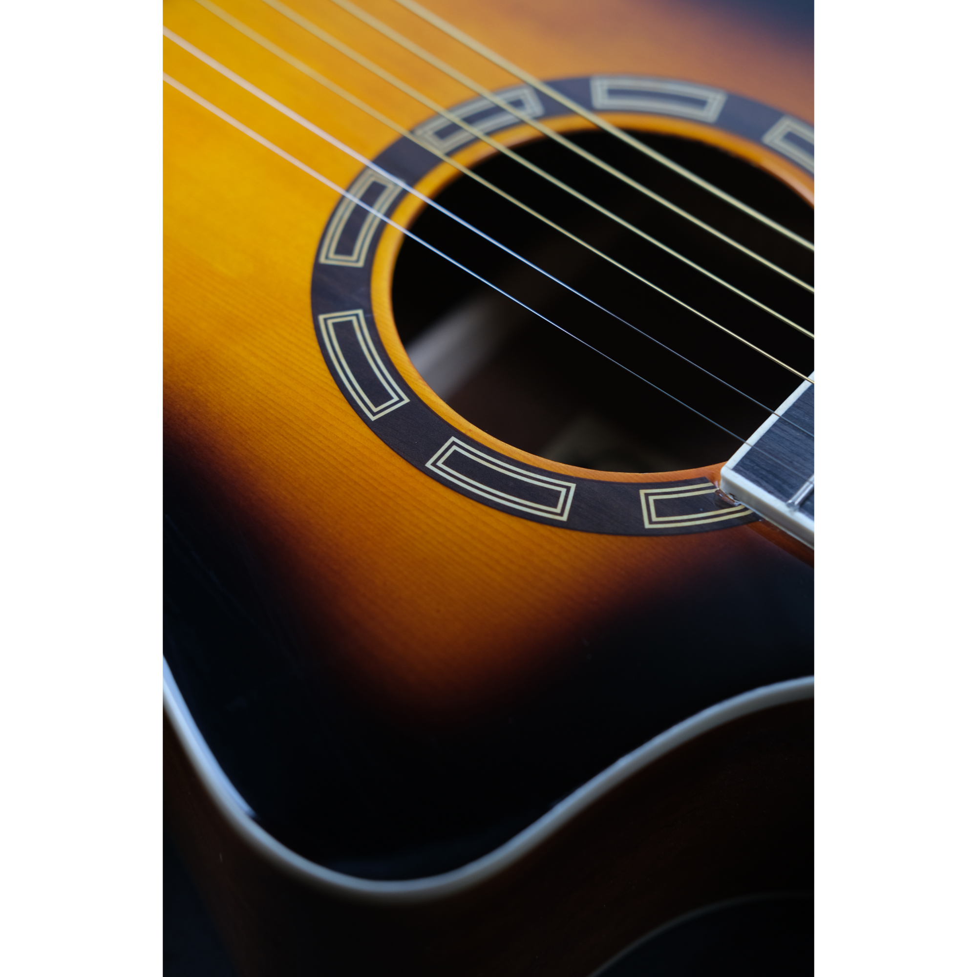 Richtone B239CE Piezo Sunburst glossy JF style cutaway Semi-Acoustic guitar