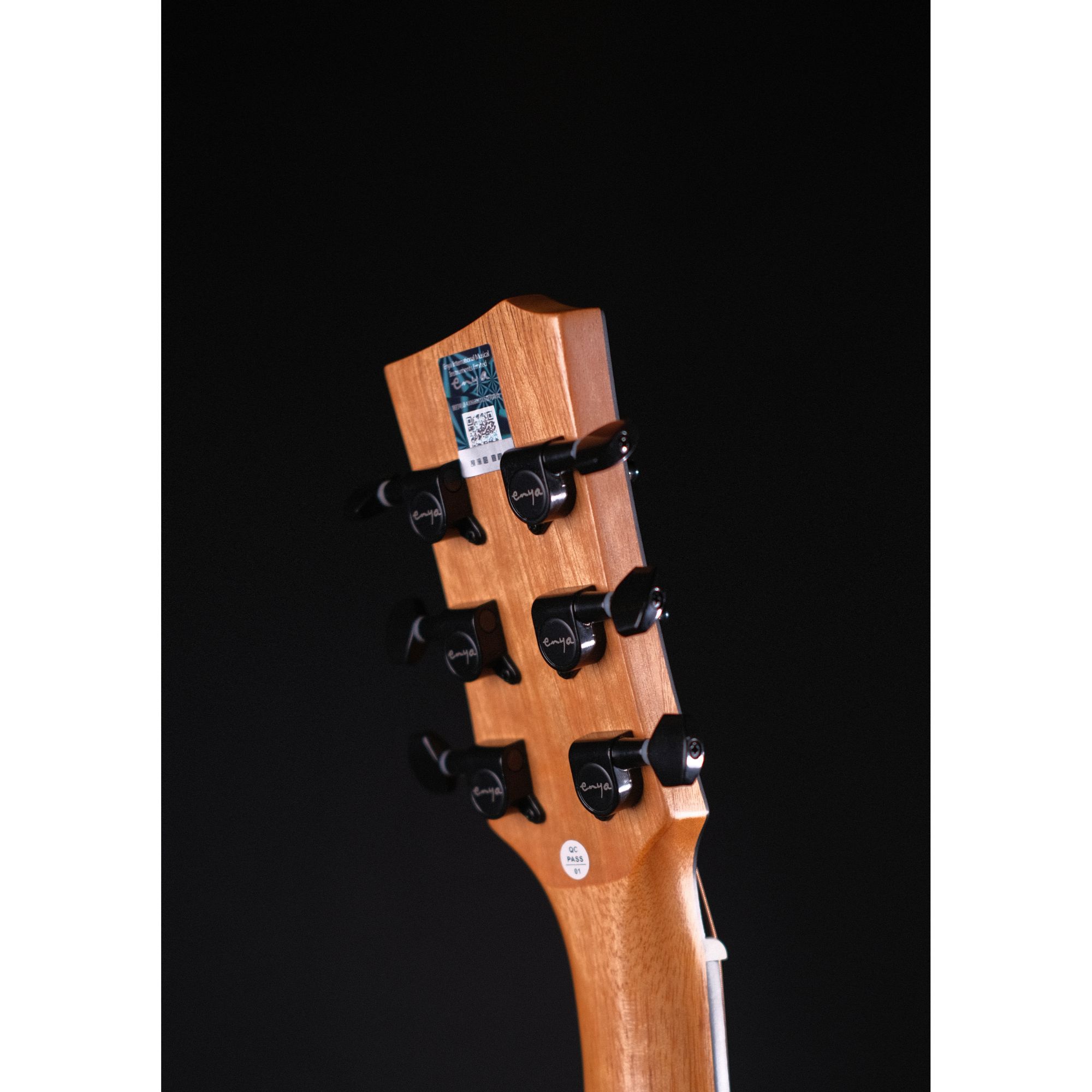 Enya ED X0 Eq Dreadnaught Semi acoustic guitar Transacoustic