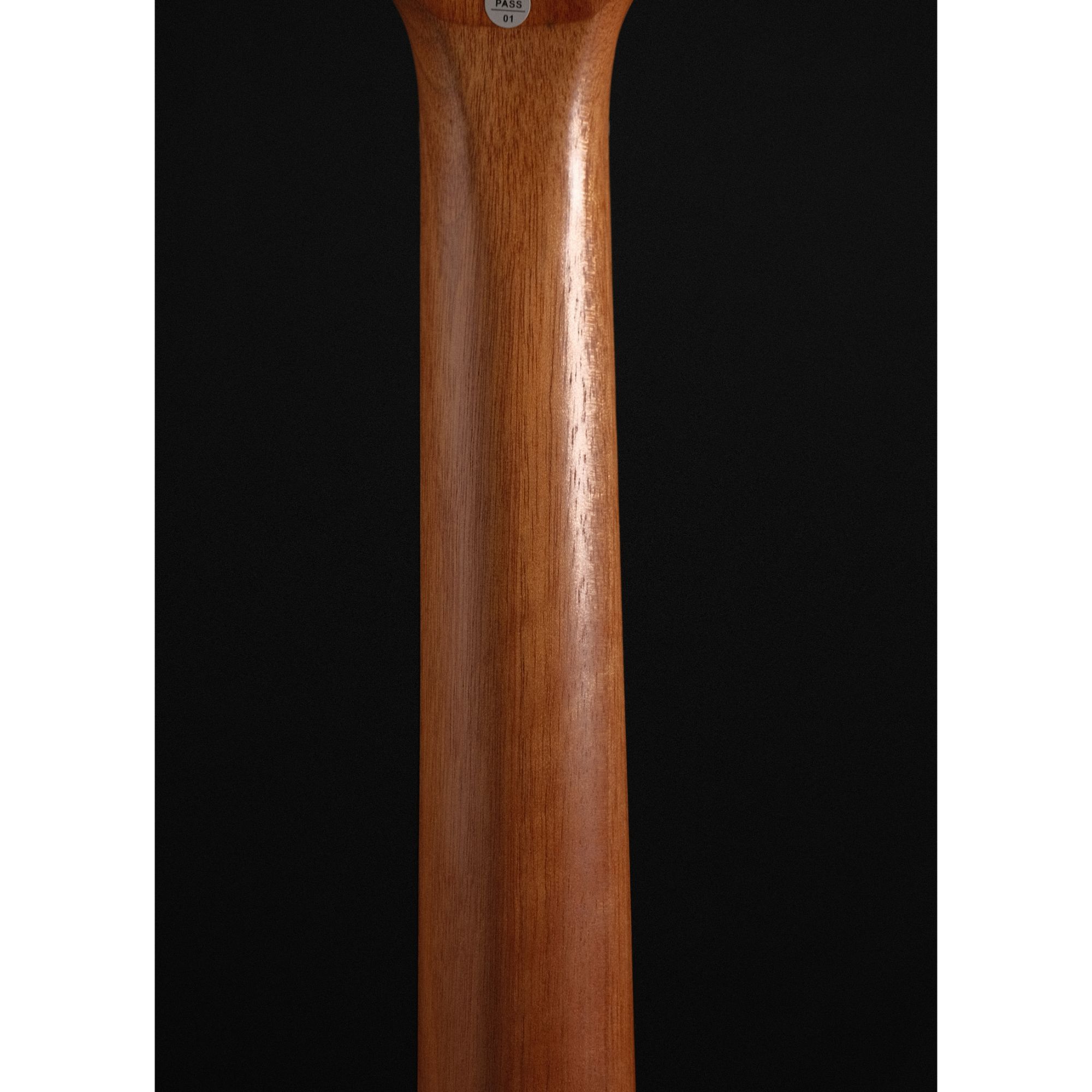 Enya ED X0 Dreadnaught acoustic guitar