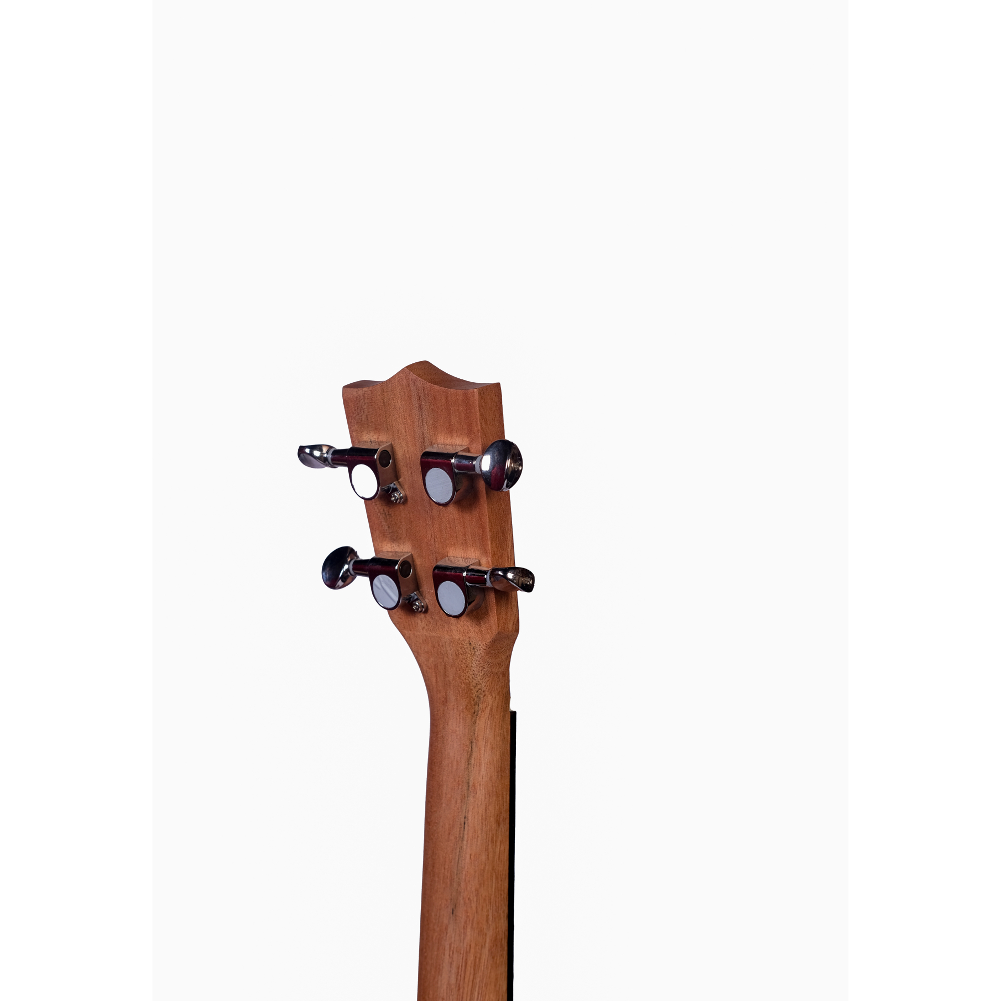 Richtone RT24 Z-LINE EQ Ukulele - Zebrawood