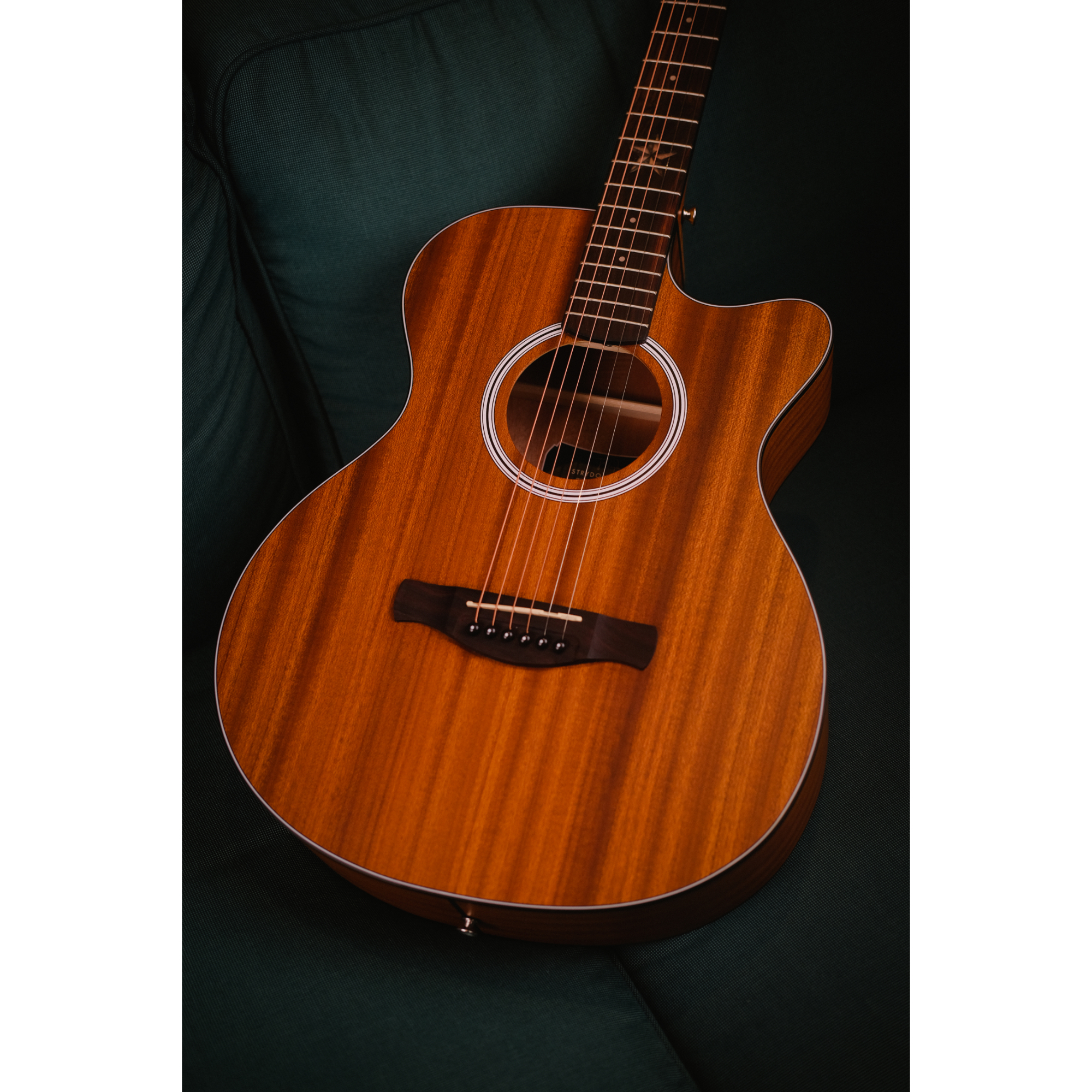 Strydom Performance P240C NM