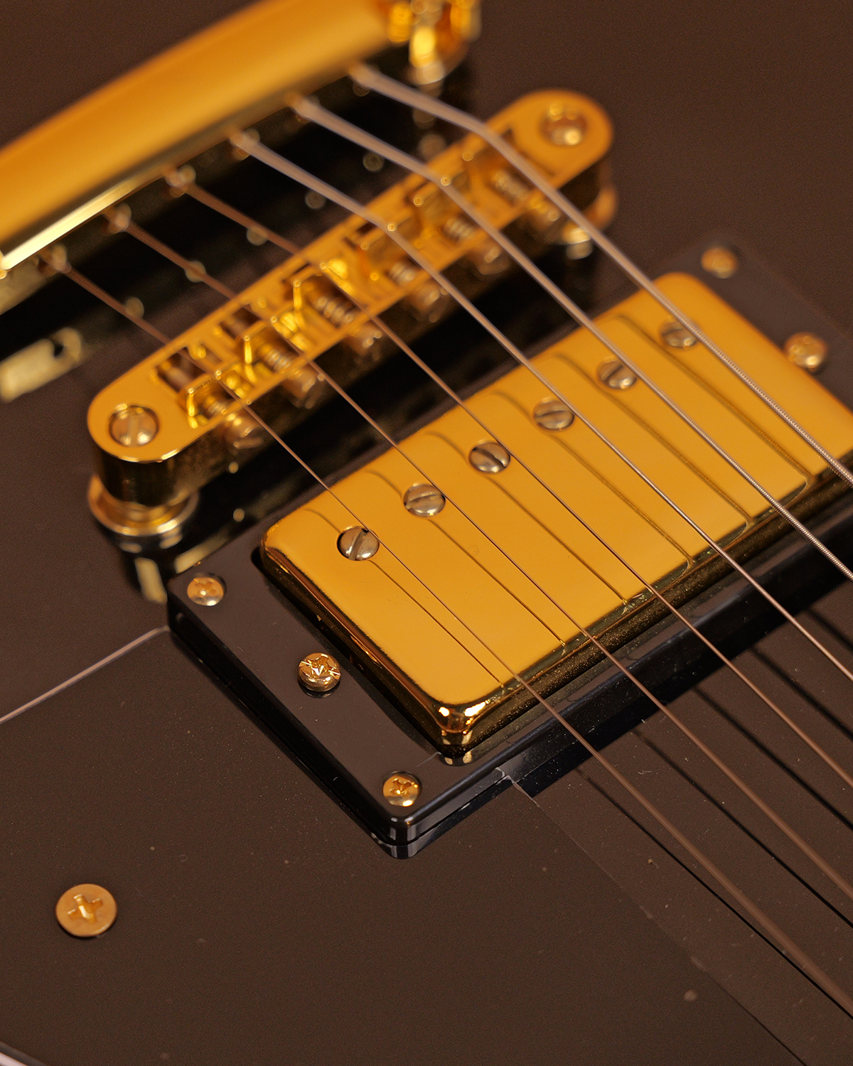 SQOE SELP300 Black beauty