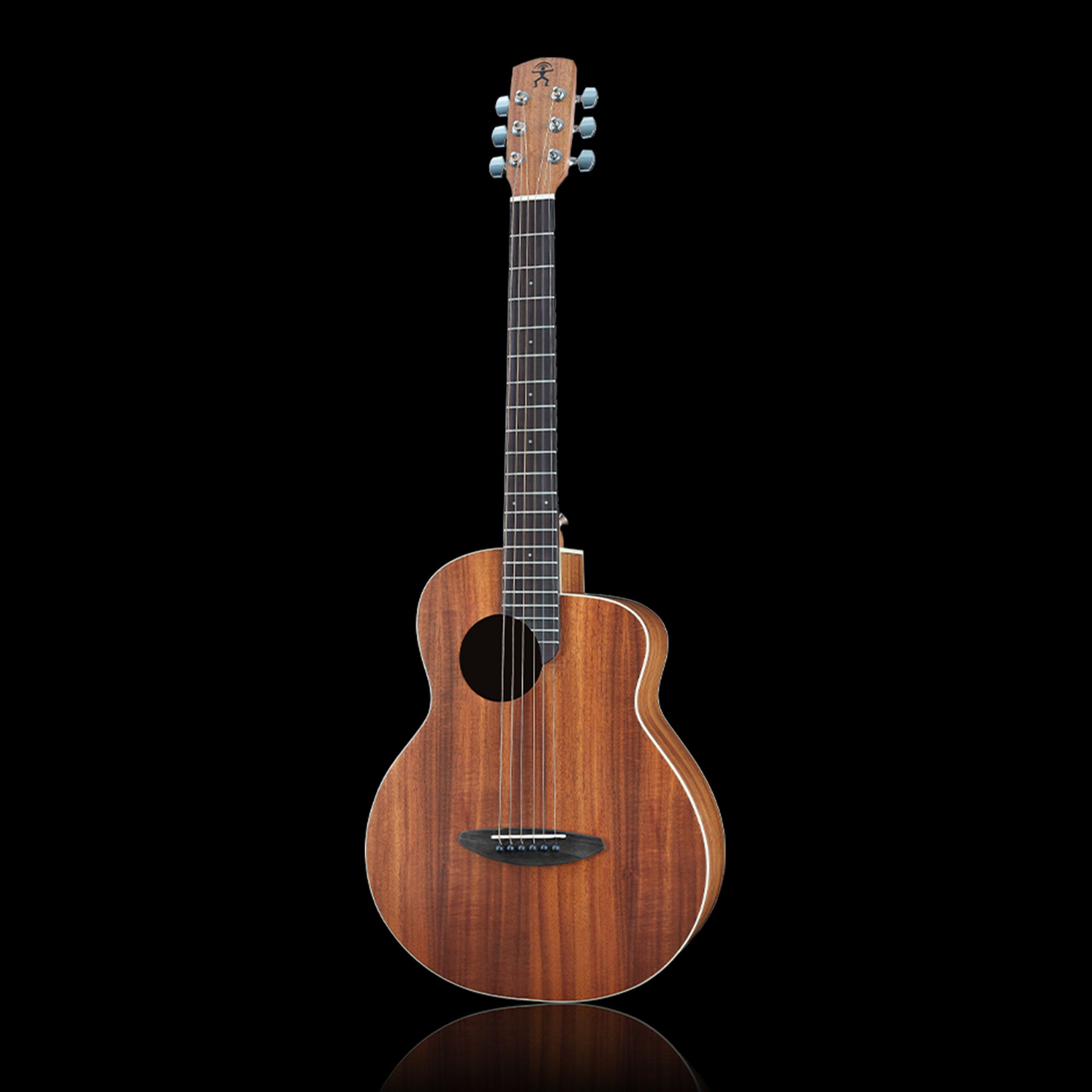 aNueNue M3 acoustic all acacia travel guitar