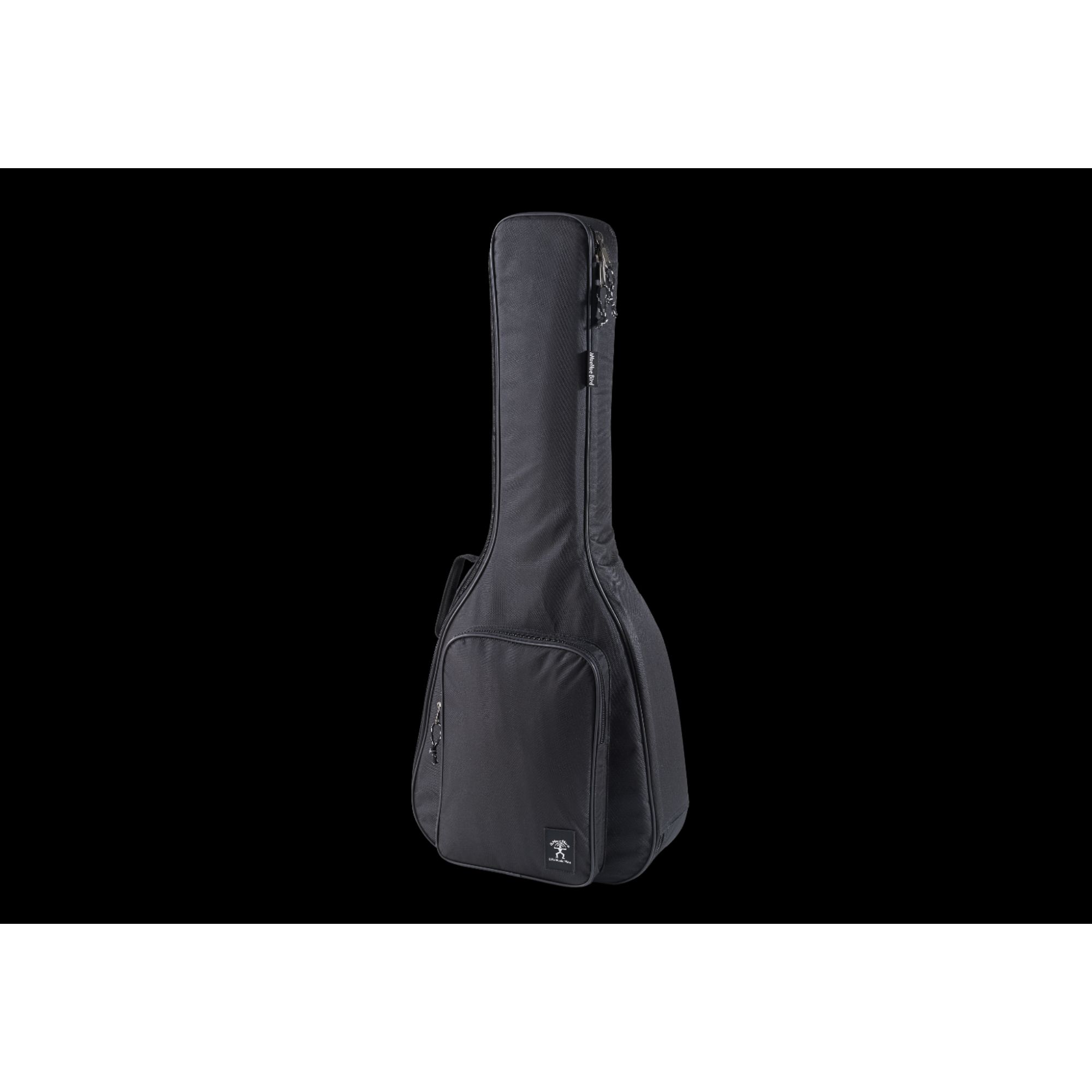 aNueNue M2 acoustic all mahogany travel guitar
