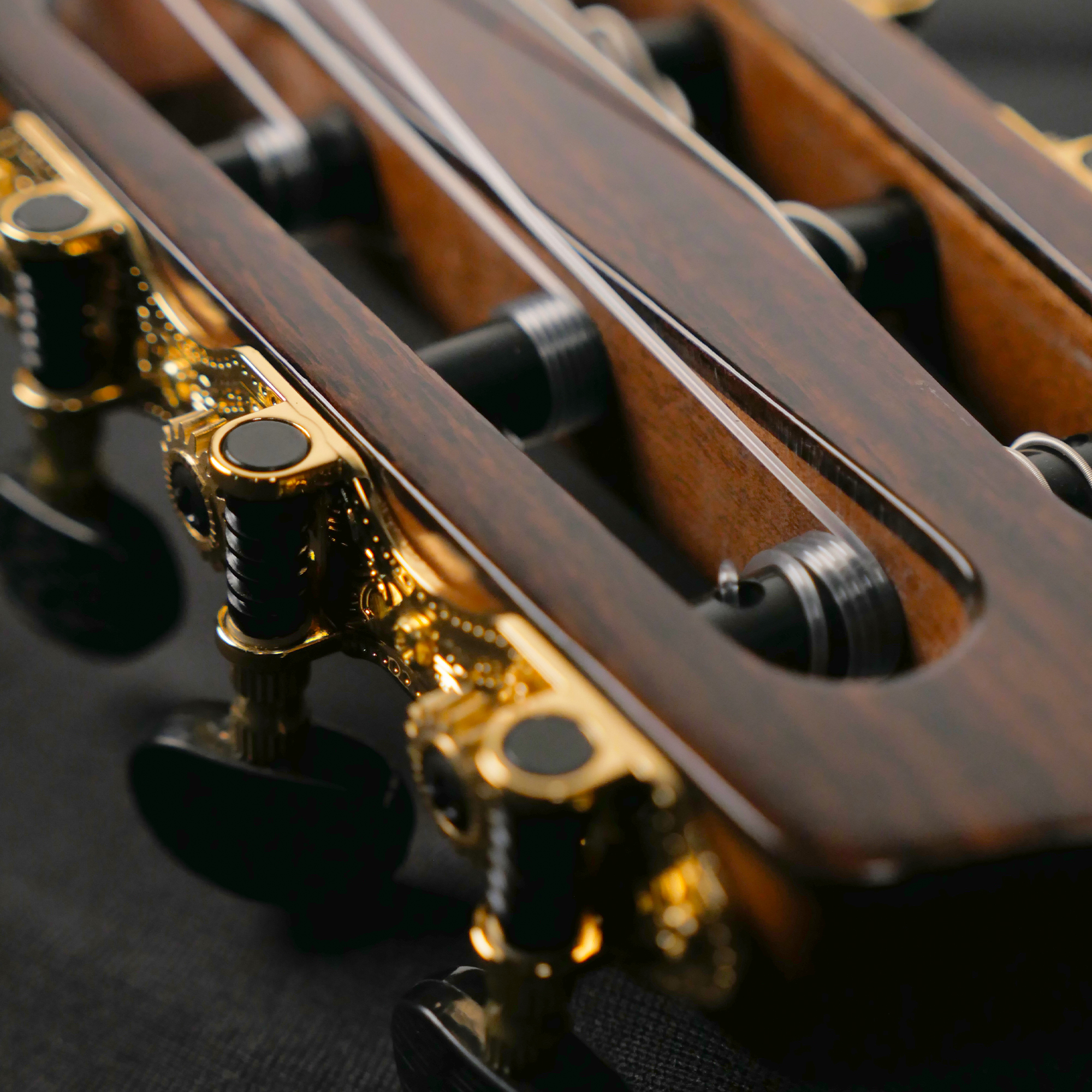 Strydom SLCG100 Black - Silent Classical guitar - Rosewood