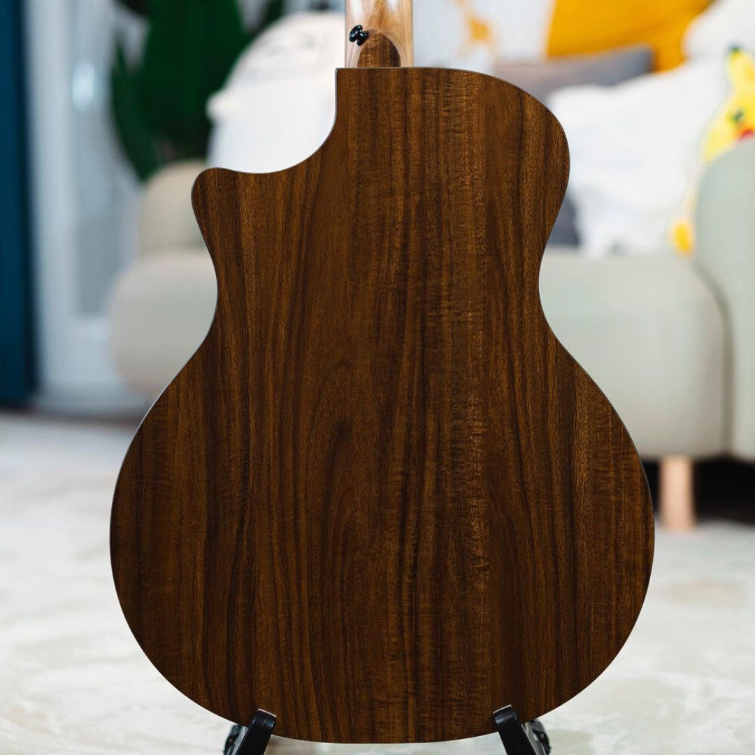 Enya EGA-X0 SP1 HPL Koa back