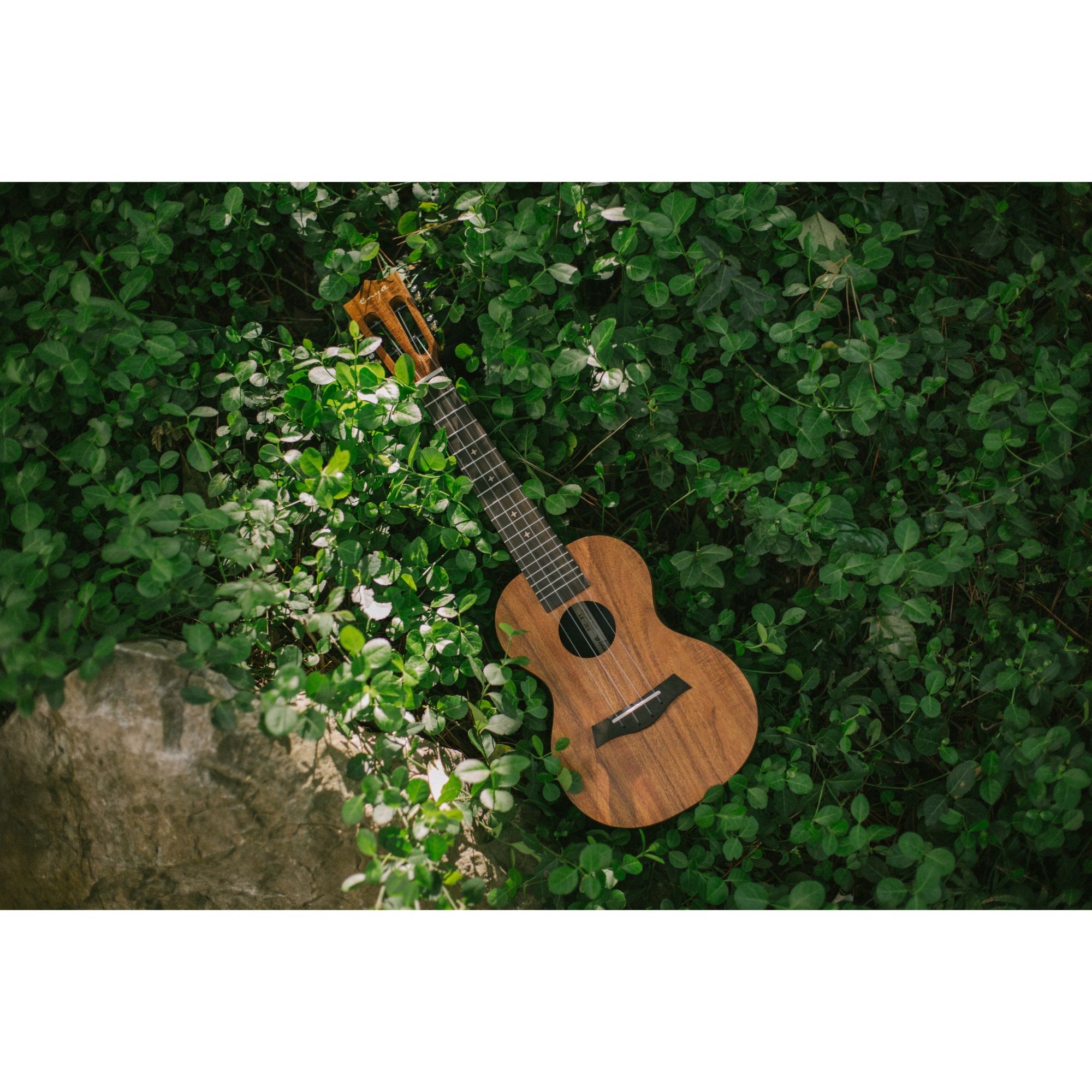 Enya EUC X1 Concert ukulele All koa