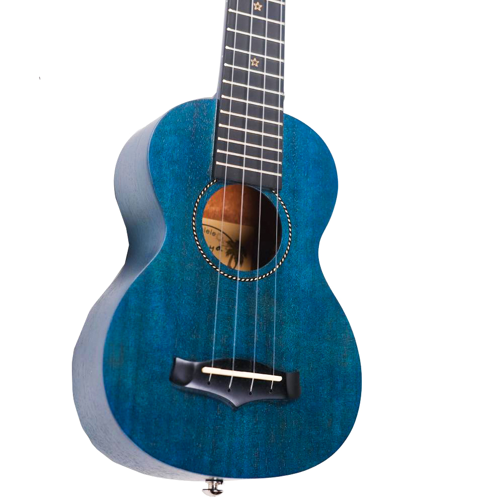 Enya EUS 25D Soprano Solid Mahogany Top Ukulele - Blue