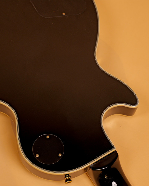 SELP300 Black Beauty Image 3