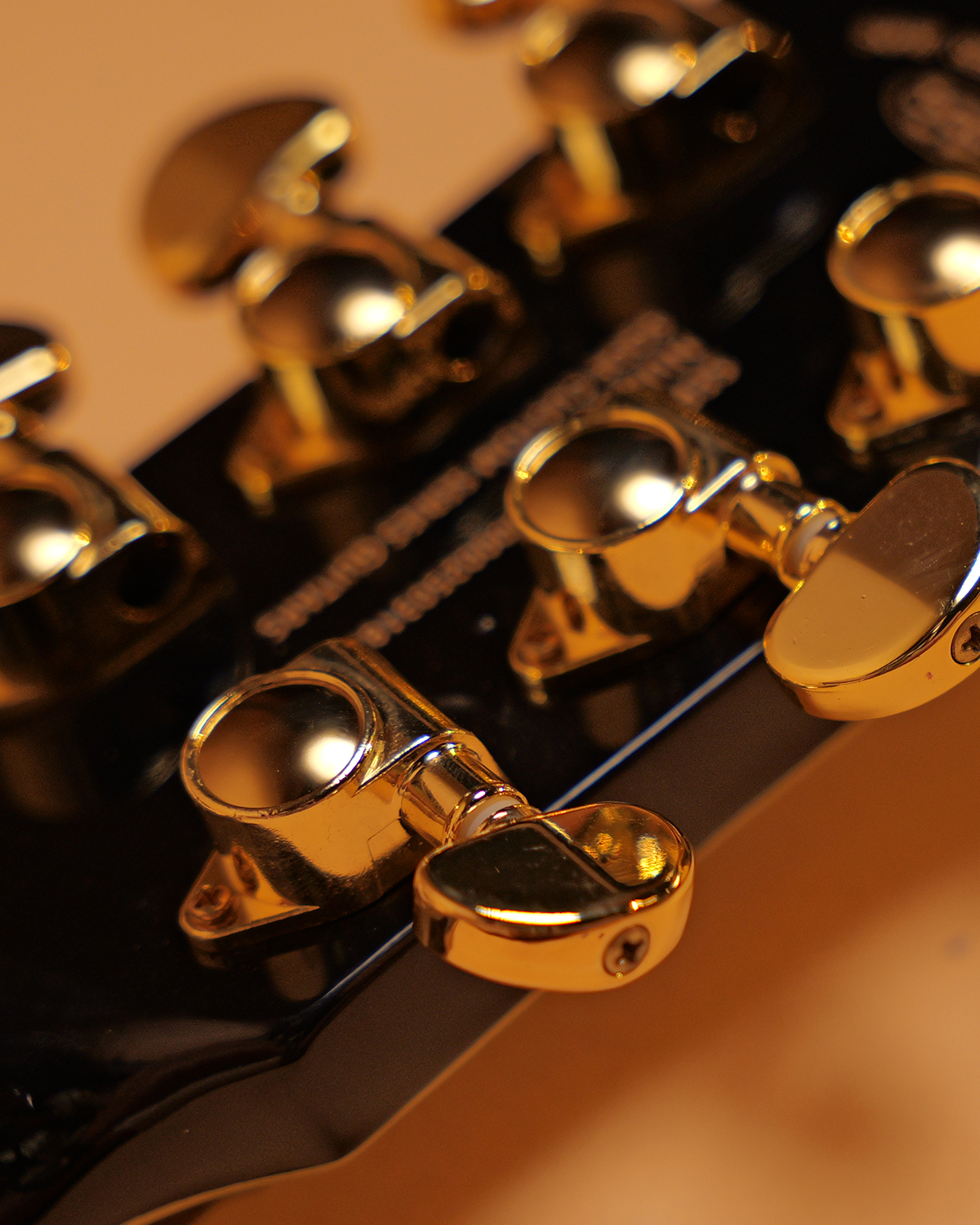 SQOE SELP300 Black beauty